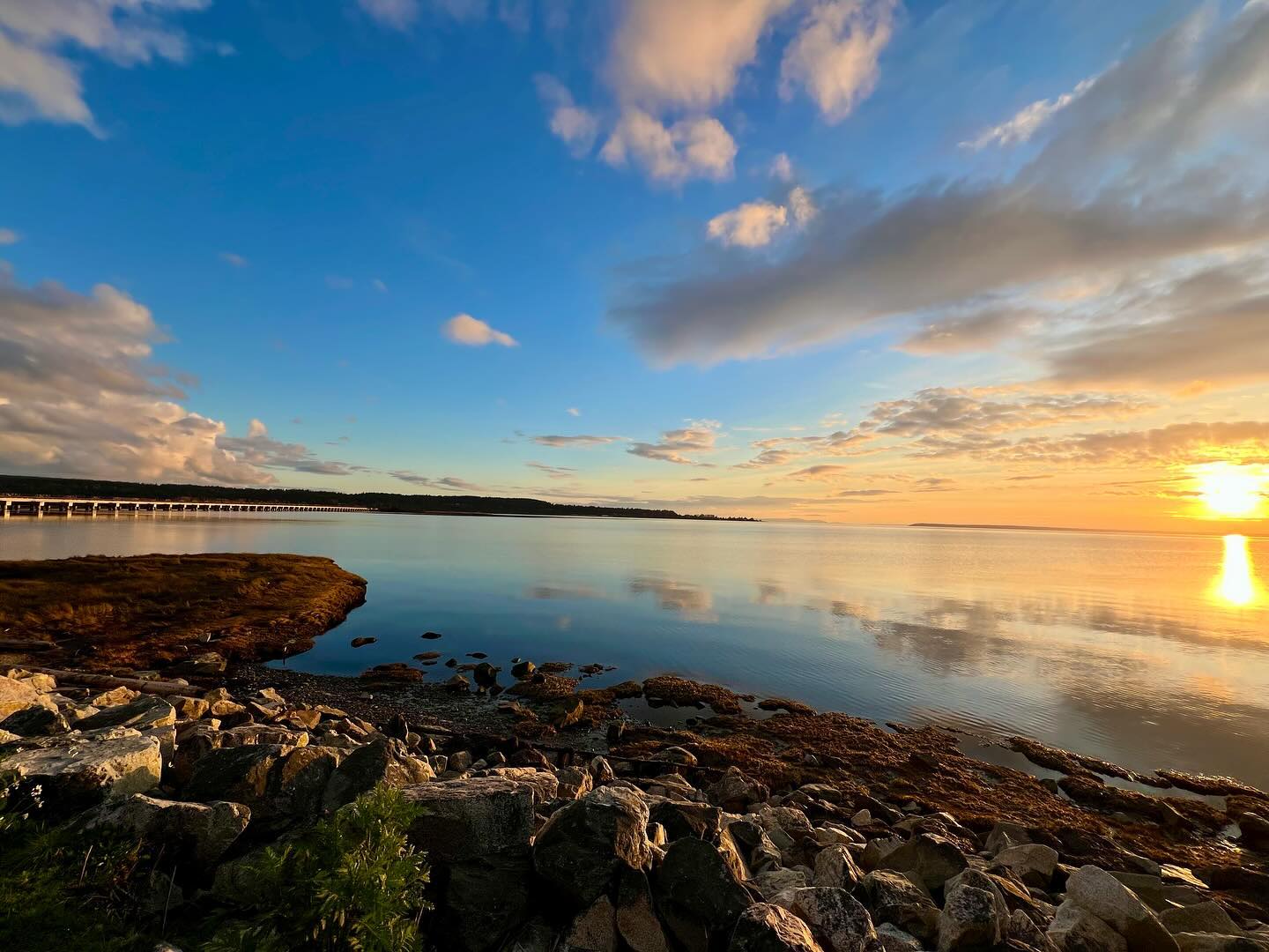 Mother Earth keeps calling me to be in silence with her and witness her. These are what I call magic moments. These are moments where I am in awe of the daily miracles, beauty of nature and interconnectedness of all things. Things that my eyes look at, my heart feels and my soul knows which are often beyond words of description. I try to capture these moments with all my senses and save them in my mind so I can recall them and feel them all over again at a different time when I need a little magic.
#motherearth #innerpeace #grounding #earthing #magicmoments #soulguidance #interconnectedness #dailymiracles #ocean #mothernature #naturelover #perspective