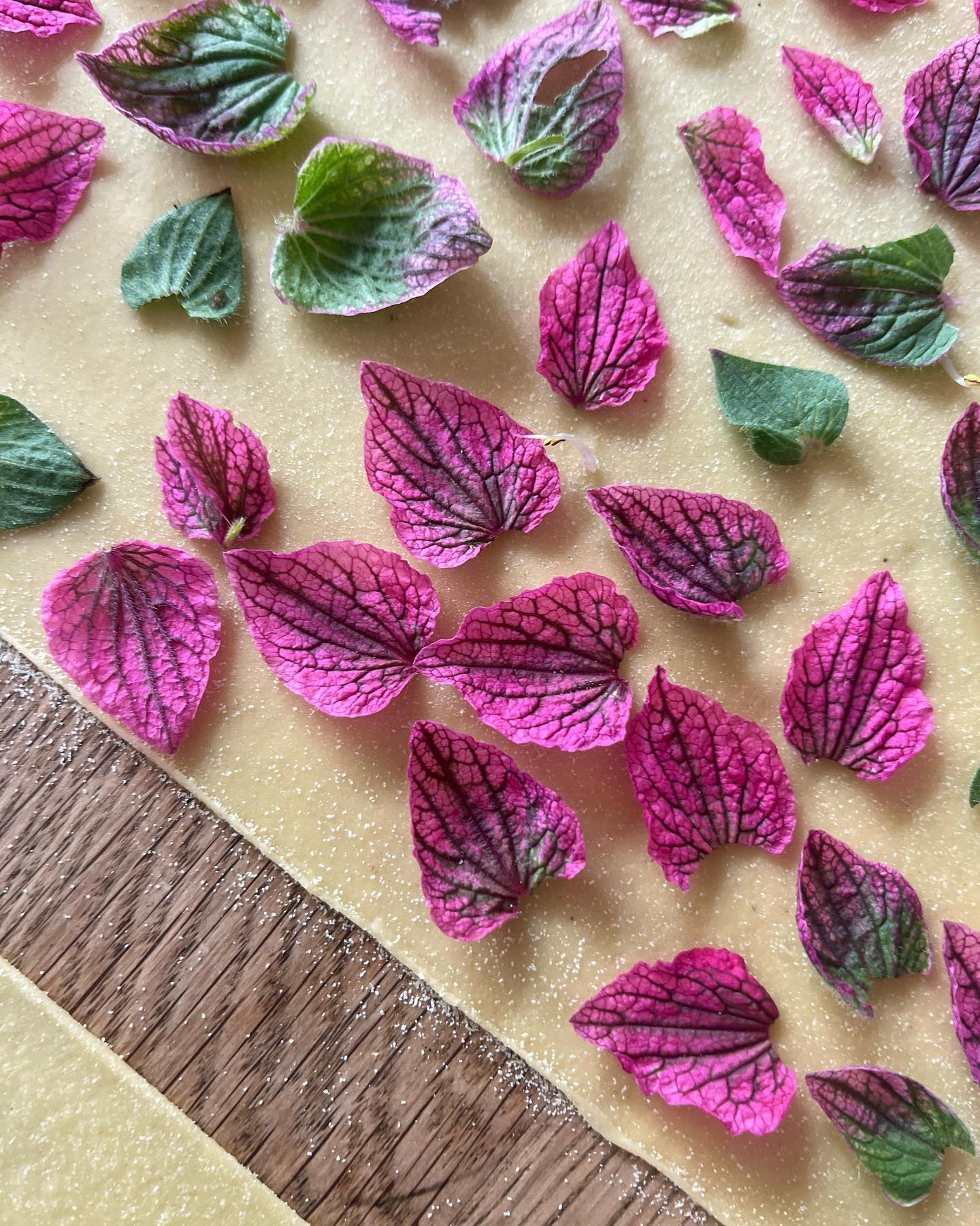 A few more snaps of the sage blossom pasta sheets. Probably one of the prettiest pastas I’ve made and definitely got me excited to laminate more herbs!
•
•
•
•
•
#freshpasta #pastafresca #homemadepasta #pastalovers #foodie #eattheworld #foodforthesoul #goodmoodfood #pastalover #feedfeed #italiancooking #onmytable #girlswithgluten #chosepasta #foryoupage #explore #workshop #pastatools #italiantools #brasspastatools #madeinitaly