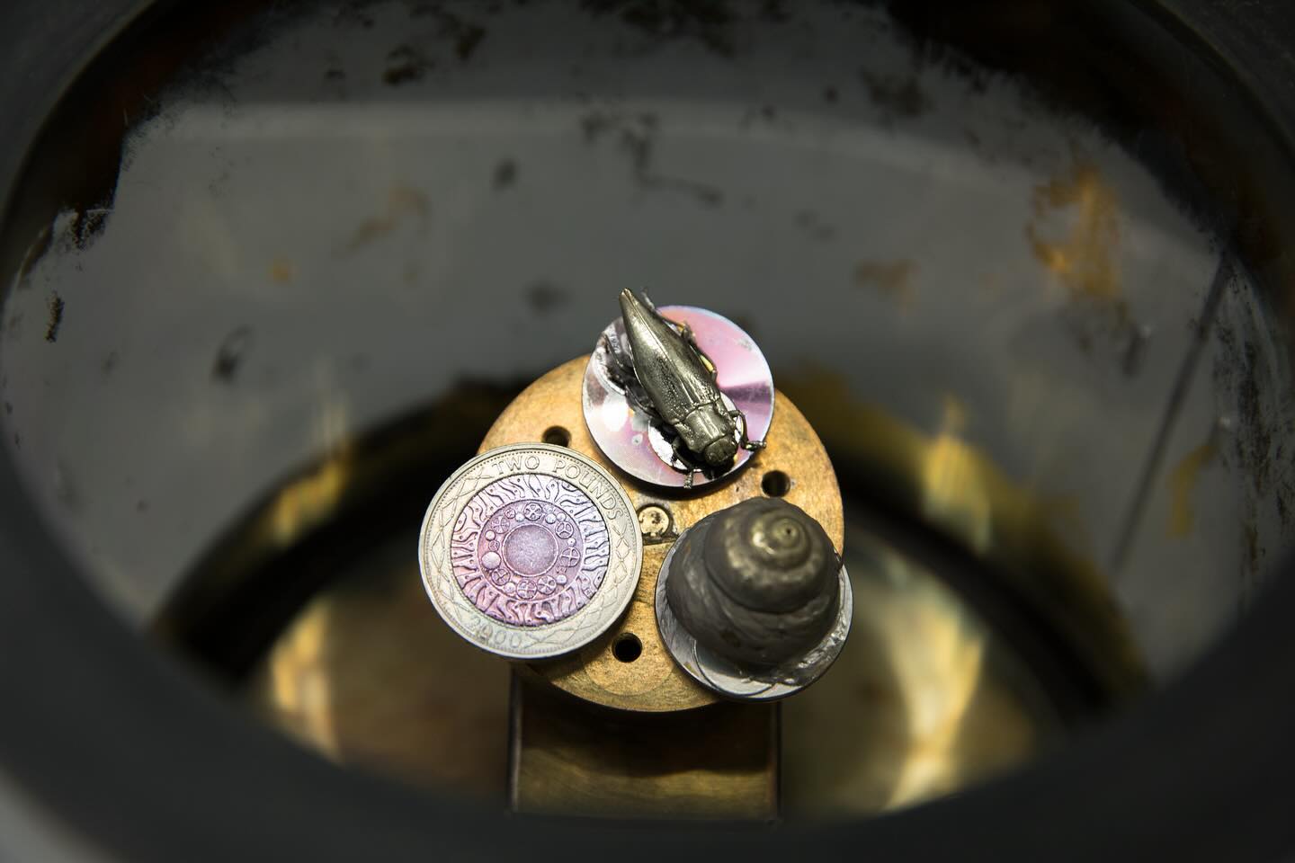 Electron microscopy sample preparation
#science #electronmicroscope #laboratory #scienceart #sciencephoto #scientific #scienceweek #research #lab #micro #microscope #microscopy #medicine #medicalsciencestudent #medicalstudent #macrophotography #mineralomics #bio #biology #bioimaging #biologylab #minerals #chemistry #material #engineering #physics #sciencecommunication #ucl #DDCSEM #Mineralomics