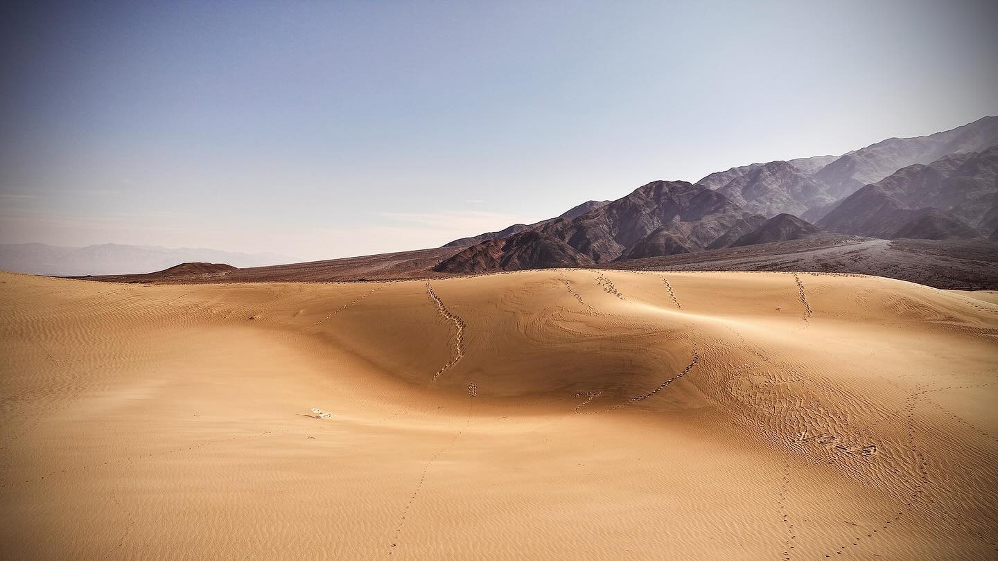My favorite shot I took today and possibly of all time, Death Valley Dunes 4