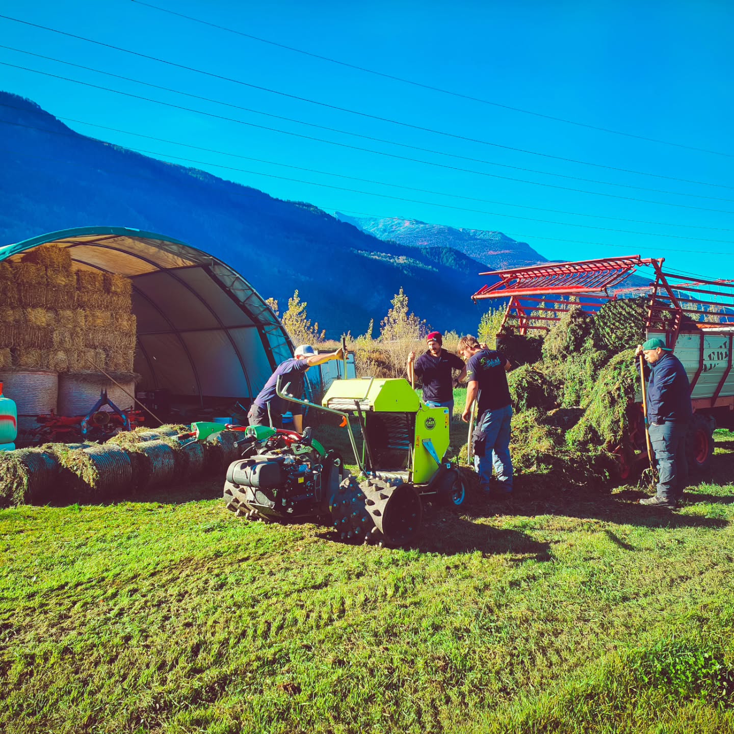 Anfang November haben wir noch ein letztes mal gemäht und Siloballen gemacht.
#brandeija #mähen #siloballen #herbst