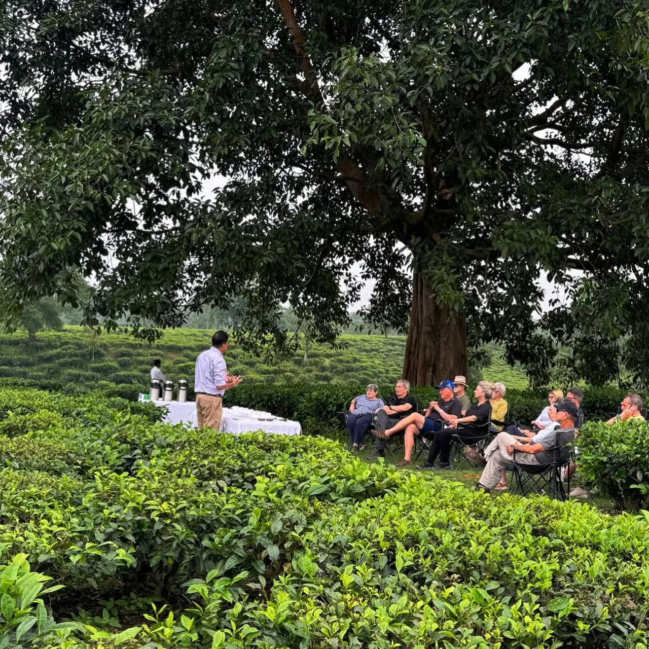 Our 22nd year of cruising this mighty Brahmaputra River and it never ceases to amaze us and our guests alike ⚓️
These pictures are from the start of our 2024-25 cruising season (commences on the last week of October and ends in the start of May) of this mighty Himalayan River, our homeland (river), our river (nature) culture, our pride and glory 🙏
#lovewithabncruises #assambengalnavigation
#brahmaputrarivercruise #abncharaidew2 #abnsukapha
.
.
.
#rivercruiser #consciousluxurytravel #slowtravelmagazine #rivercruiseexpert #rivercruisespecialist #smallshipcruise #smallshipcruiseline #smallshipbigadventure #purelifeexperiences #boatlifeisthebestlife #lahélife #conscioustraveller #slowtraveler #slowtravelmagazine #northeastindia #assamcruise #indiarivercruise #conscioustravel #culturalcruise #naturecruise #safaricruise
