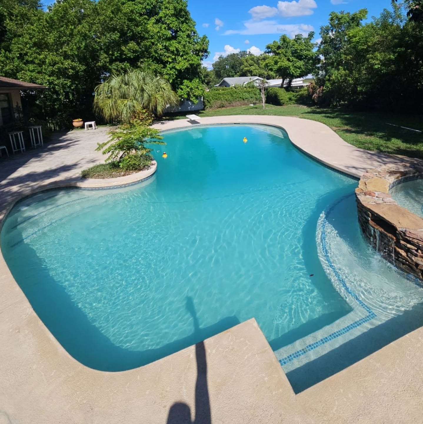 It was a pleasure working on this 12 footer in Historic Lake Wales! We transformed this swamp into an oasis!