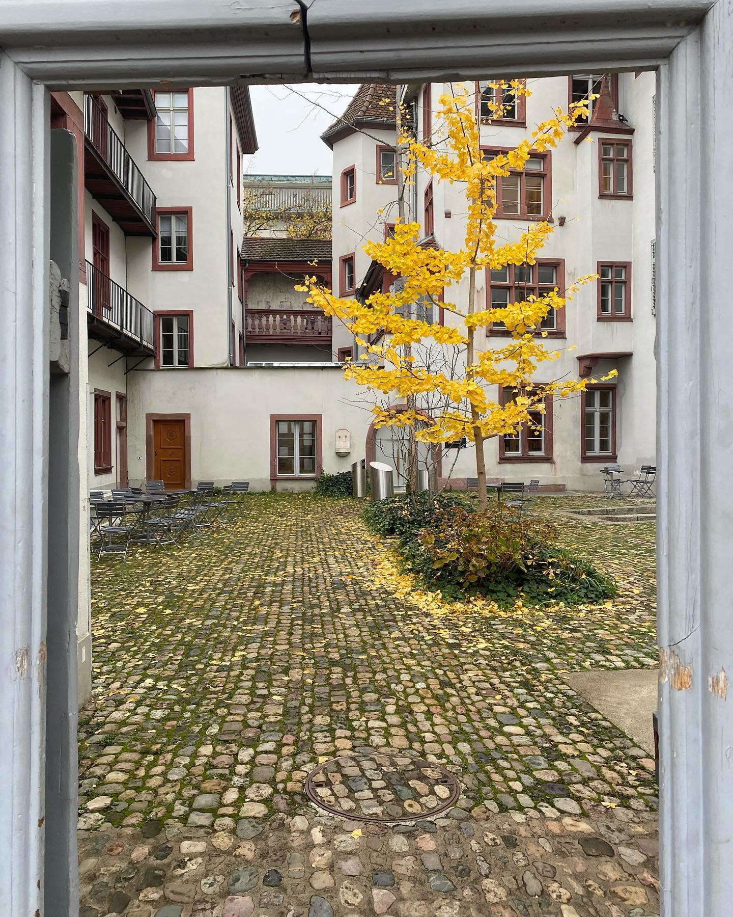 Mein Wirkungsort am Donnerstag in diesem Herbstsemester: Deutsches Seminar der Universität Basel. Seminar “Plurizentrizität des Deutschen” mit einer tollen Studierendengruppe. @germaunibasel #herbstsemester #seminar #variationslinguistik #plurizentrizität #plurizentrischesprache #linguistik #schweiz #österreich #deutschland #südtirol #luxemburg #fürstentumliechtenstein #ostbelgien #standarddeutsch #wasdievariationslinguistinsotut