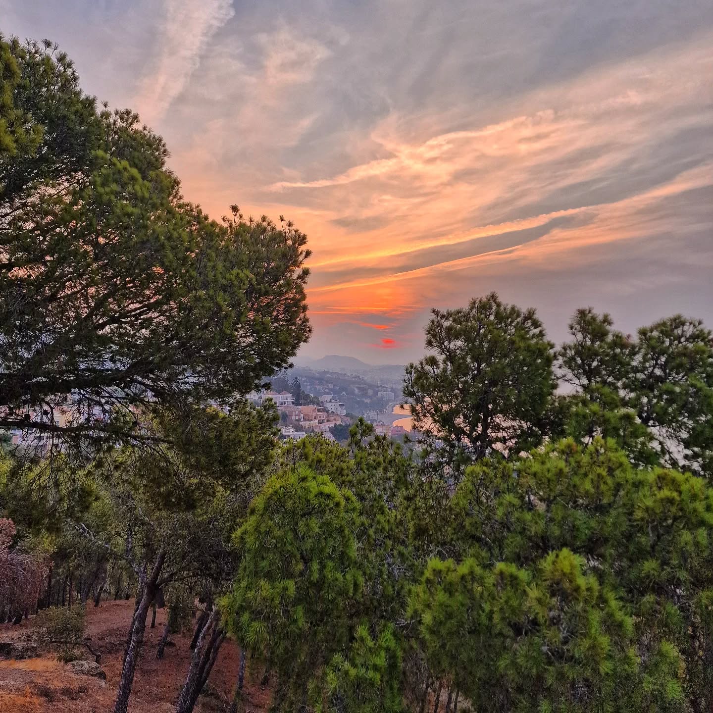 📍 Castillo de Gibralfaro
☀️ Buen fin de semana
.
.
.
.
.
.
.
.
#sunrise #castillodegibralfaro #lovingmalaga #malaga #malagalife #malagaturismo #malagaspain #málaga #malagatoday #andalucia #ckmalagalife #ok_malaga #ok_andalucia #españa #spain #estaes_malaga #visitmalaga #ok_spain #photosofmalaga #malagaconacento #spain_all_pics #lateandalucia #livelovespain #latemalaga #enamoratedemalaga #objetivoandalucia #latildedemalaga