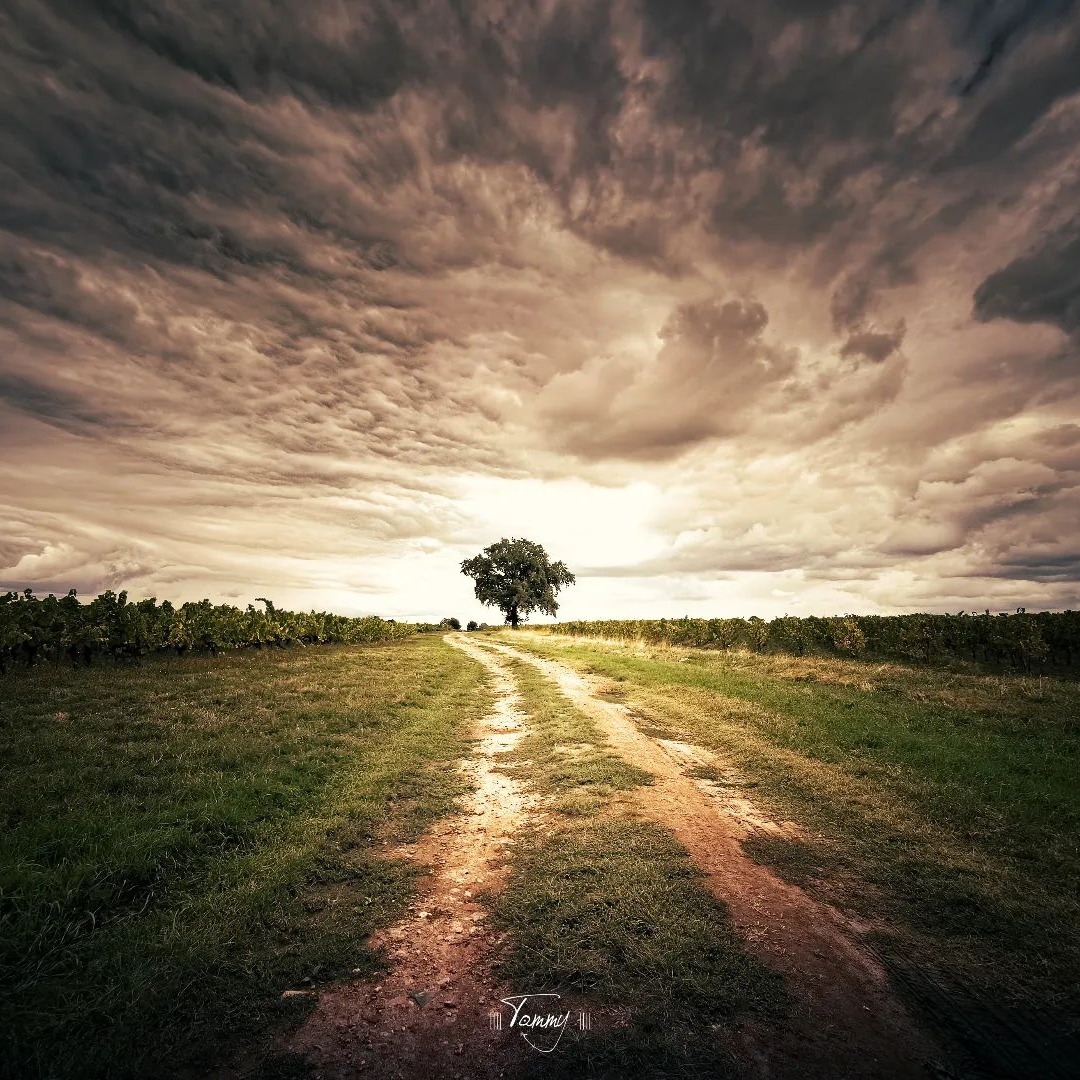 Ce jour-là, ma vie a basculé.
C'était il y a 4 ans, au milieu des vignes du Loroux-Bottereau.
J'étais perdue. Après 14 ans de salariat, je venais d'être licencié économique.
Je ressentais le vide dans ma vie.
Que vais-je faire ? Comment je vais gagner ma vie ? De quoi j'ai envie ?
Je ressentais beaucoup d'émotions difficiles à gérer :
- peur du vide
- angoisse de l'avenir
- sentiment d'infériorité
- insécurité financière
- crainte permanente
Mais je savais que c'était un cap à passer.
Et ce jour-là du mois de mars, j'ai décidé de regarder le vide en face. D'aller explorer ce qui était en moi. Seule. Je suis partie de chez moi. Sans téléphone. Avec seulement une bouteille d'eau. Et surtout avec l'intention de me trouver. Je ne savais pas combien de temps, il me faudrait 1h, 4h ou 8h.
Finalement, au bout de 4h30, je suis revenue chez moi. Et j'ai compris. Je me suis découverte. J'ai su que l'aventure était au bout du chemin. Pas besoin de partir à l'autre bout du monde pour se trouver. Tout est là déjà en moi. Il suffisait que j'ose le regarder.
Et le reste du chemin, je l'ai fait grâce aux nombreuses rencontres de la vie. Celles qui vous permettent de vous dire : "et si c'était possible ?!?"
Nous sommes nombreux à avoir besoin d'orientation.
Nous sommes nombreux à avoir besoin de se retrouver.
Nous sommes nombreux à avoir besoin d'impulsion.
Vous aussi, vous vous êtes déjà sentis comme moi ?
Vous êtes au moment où vous voulez redonner du sens à votre vie professionnelle.
Rejoignez mon prochain groupe de bilan de compétences qui allie :
- des rencontres collectives pour partager et confronter vos regards
- des rendez-vous individuels avec moi pour construire votre nouveau projet
- et des exercices individuels d'introspection pour apprendre à mieux vous connaître
Pour plus d'infos, contactez-moi en mp.
Crédit photo : @iiii.tommy.iiii 🙏
💚 Vignoble nantais 💚
#premierpas #jefaismonpremierpas #bilandecompetences #vignoblenantais #lorouxbottereau #vallet #bilanndecompetencesnantes
#motivation #inspiration #changementdevie #bienetre #confianceensoi #reussitepersonnelle #objectif #passion #avenir #nouvellesopportunites