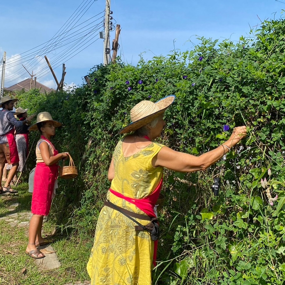 The wall of herbs and flowers
.
Our cooking school has a special section for hand-picking activities for students
.
Come and join us, book online now !!
Contact to join us
📞 +66 96-091-5365
📩 DM
📧 info@thebestthaicookeryschool.com
#thai #Chiangmai #lerning #cooking #thaicookingcourse #activities #workshop #thaicusine