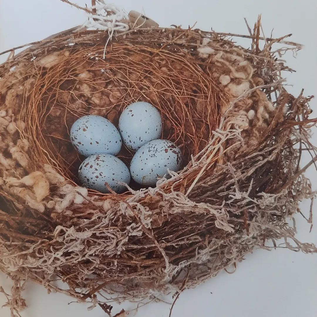 A space of rest, of creativity, of nurturing possibilities.