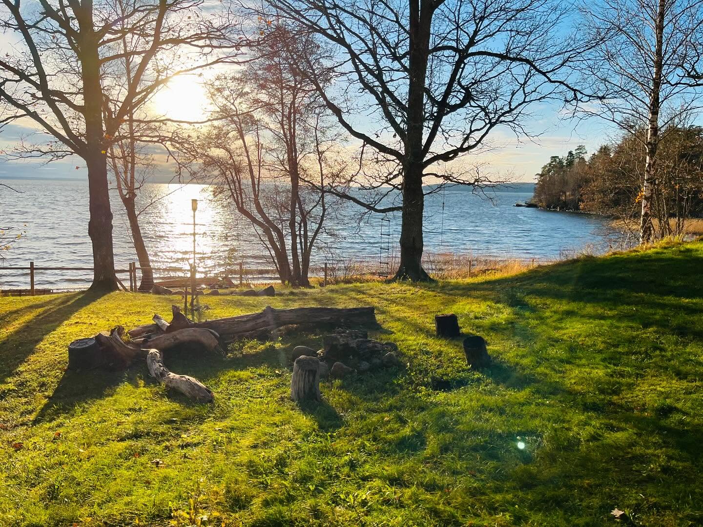 Förbered din trädgård inför vintern 🍁🍂
✅ Använd ditt rutbidrag vid betalaning
🔸Häckklippning
🔸Trädbeskärning
🔸Ogräsrensning
🔸Gräsklippning
🔸Lövrensning