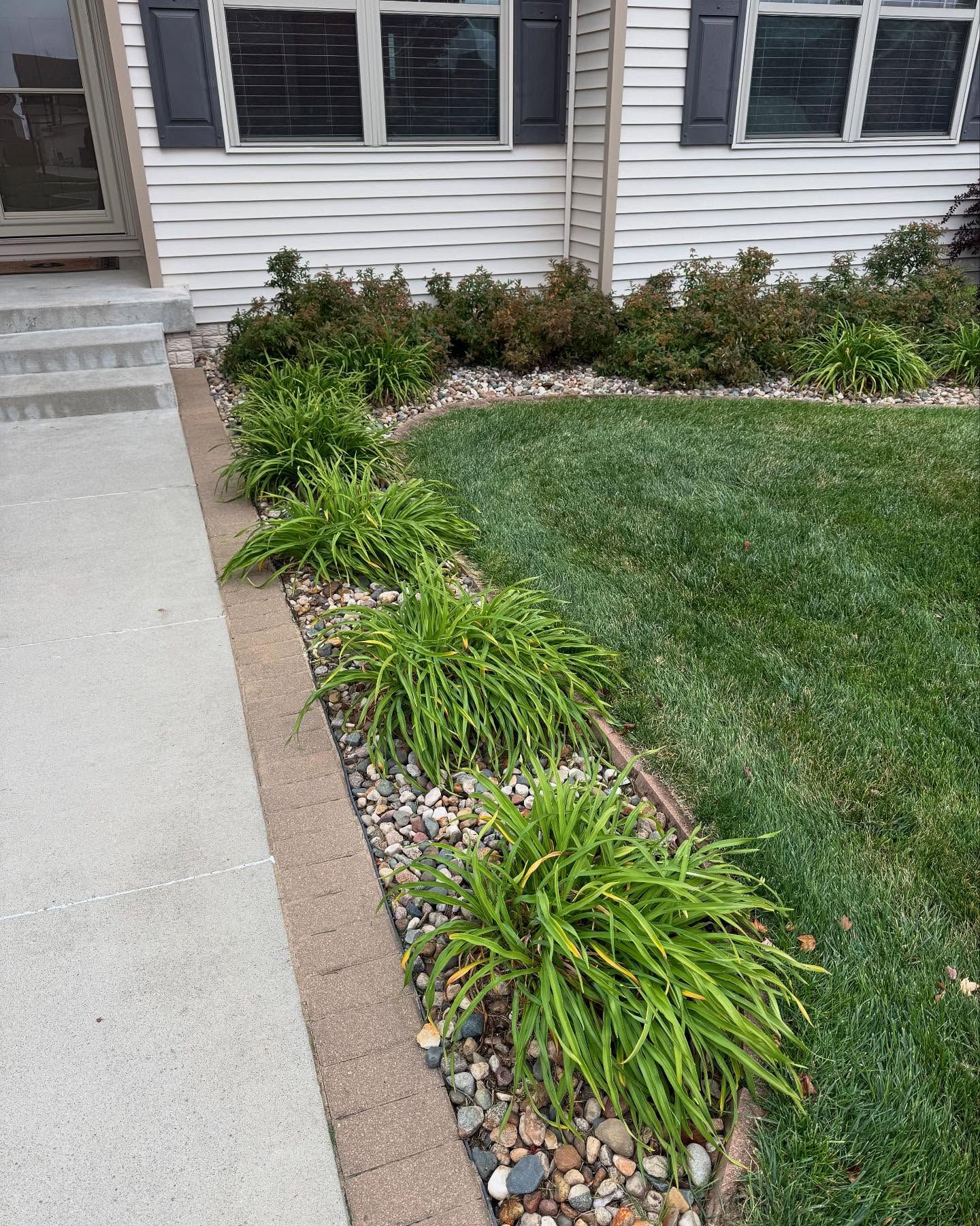 All ready for winter, and some fresh growth in the spring!