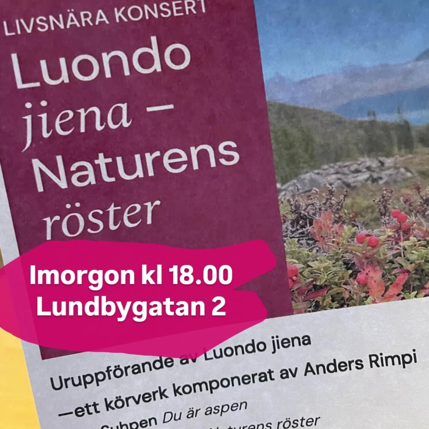 Välkommen att lyssna till uruppförandet av körverket Luondo Jiena - Naturens röster, skrivet av Ánndaris Anders Rimpi för KLUSTER.
Länk till eventet här/ i stories: https://www.facebook.com/share/1X42PqZ2fx/
Namnet Luondo Jiena betecknar naturens och sinnets ljud, läten och röster. I kompositionen lyfts språkets melodi, färger, skönhet och särart. Lulesamiskan är mycket rikt på diftonger och användning av dessa vokalförändringar ger en kontinuerlig rörelse i tonen. Den eviga rörelsen, cirkeln, är central i samisk kultur.
Under konserten kommer kompositören berätta om hur och varför han skrivit sitt körverk, utifrån hans egna rötter och släktens historia i Sapmí. Han kommer även sjunga psalmer på lulesamiska ihop med pianist Arvid Kästel.
Anders Ànndaris Rimpi har sina rötter i Sápmi. Han har studerat lulesamiska språket i flera år och har fått flera priser för sitt arbete med språkutveckling. Med stöd av bl a Svenska kyrkan, Luleå stift och Jokkmokks församling spelade Rimpi in och gav ut psalmer på lulesamiska 2021. Rimpi har tidigare komponerat sakral musik för körer och han har också komponerat musik för konst och dans, bla till Venedigbiennalen, Det Norske Teatret, Nasjonalmuseum(Oslo), Statens konstråd och Giron Sámi Teáhter.
KLUSTER är Lundby församlings kammarkör som grundades i Biskopsgårdens kyrka 2018. Kören sjunger folkmusik och nyskriven körmusik a cappella. Under 2024 har kören samarbetat nära med kompositören Rimpi och haft flera workshops bl a kring det samiska språkets karaktär. Dirigent är Helena Fornegård, musikpedagog i Lundby församling.
Projektet genomförs med ekonomiskt stöd från Kulturrådet, Sametinget, Samiska rådet och Göteborgs stift inom Svenska kyrkan.