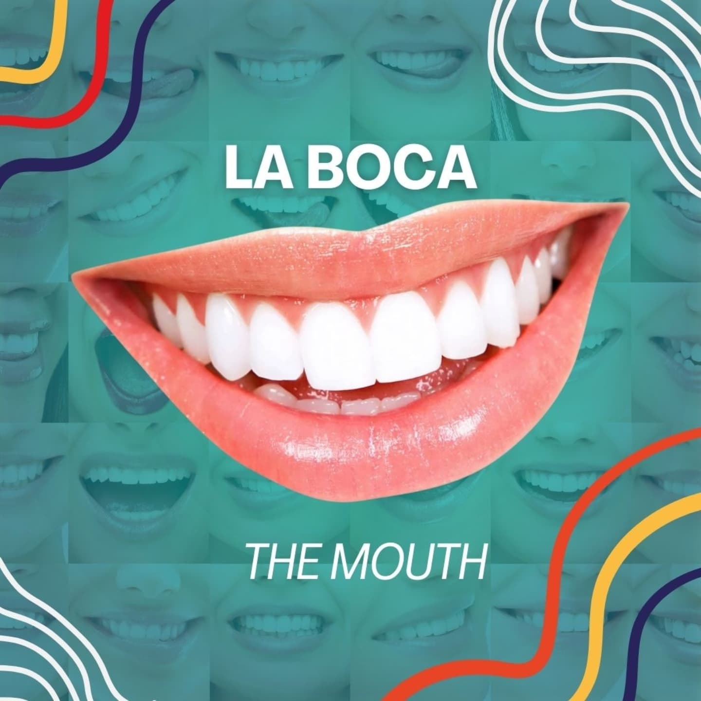 🤓 In Spanish 🇲🇽 as a general rule we form the plural of nouns by adding -s or -es at the end of the word. For example: boca-bocas, diente-dientes, muela-muelas. What about "labio" (lip)? 🤔 #Spanish #LearnSpanishWithTeachTintas #VámonosConTeachTintas