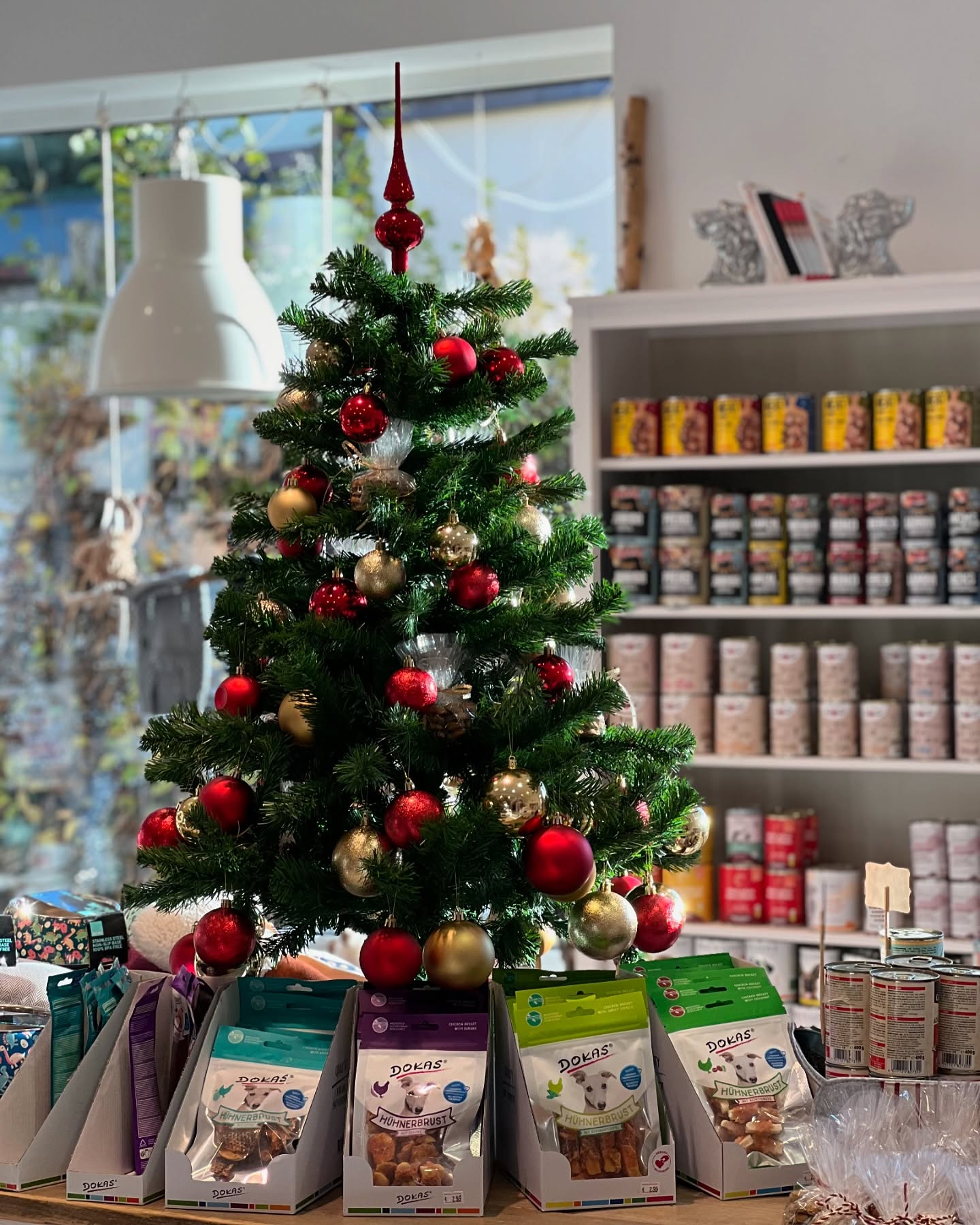 Christmas vibes 🎄
#jelenashundesalon #münchen #feldmoching #hundesalon #hundesalonfeldmoching #bayern #bayernmunich #germany #deutschland #hund #hunde #hundeliebe #hundefotografie #hundepflegen #hundeportrait #dog #dogsofinstagram #dogs #dogoftheday #doglife #pet #petlovers #groomer #grooming #christmas #christmastree #weihnachtszeit #weihnachten