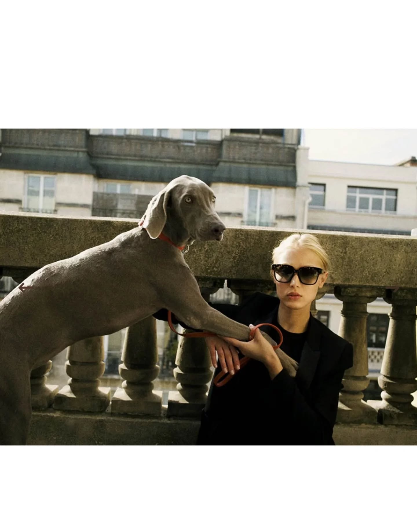 L.G.R
#handmade #madeinitaly #milano #perfect #design #quality #lunettes #leslunettesdebenjamin #eyewear #sunglasses