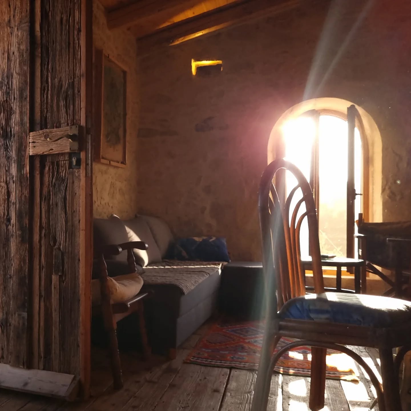 Sunrise in Blue Daisy House