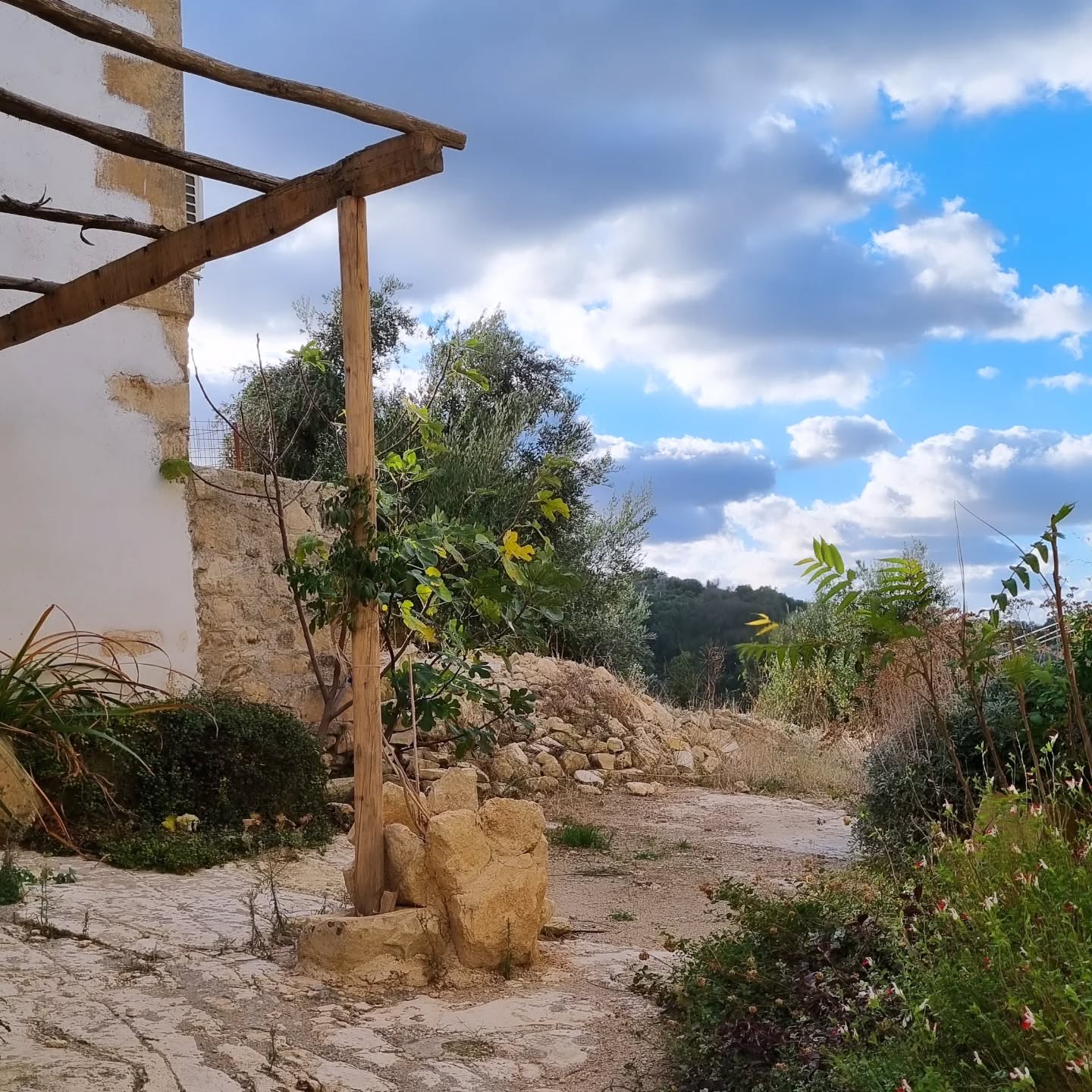 Working on the garden