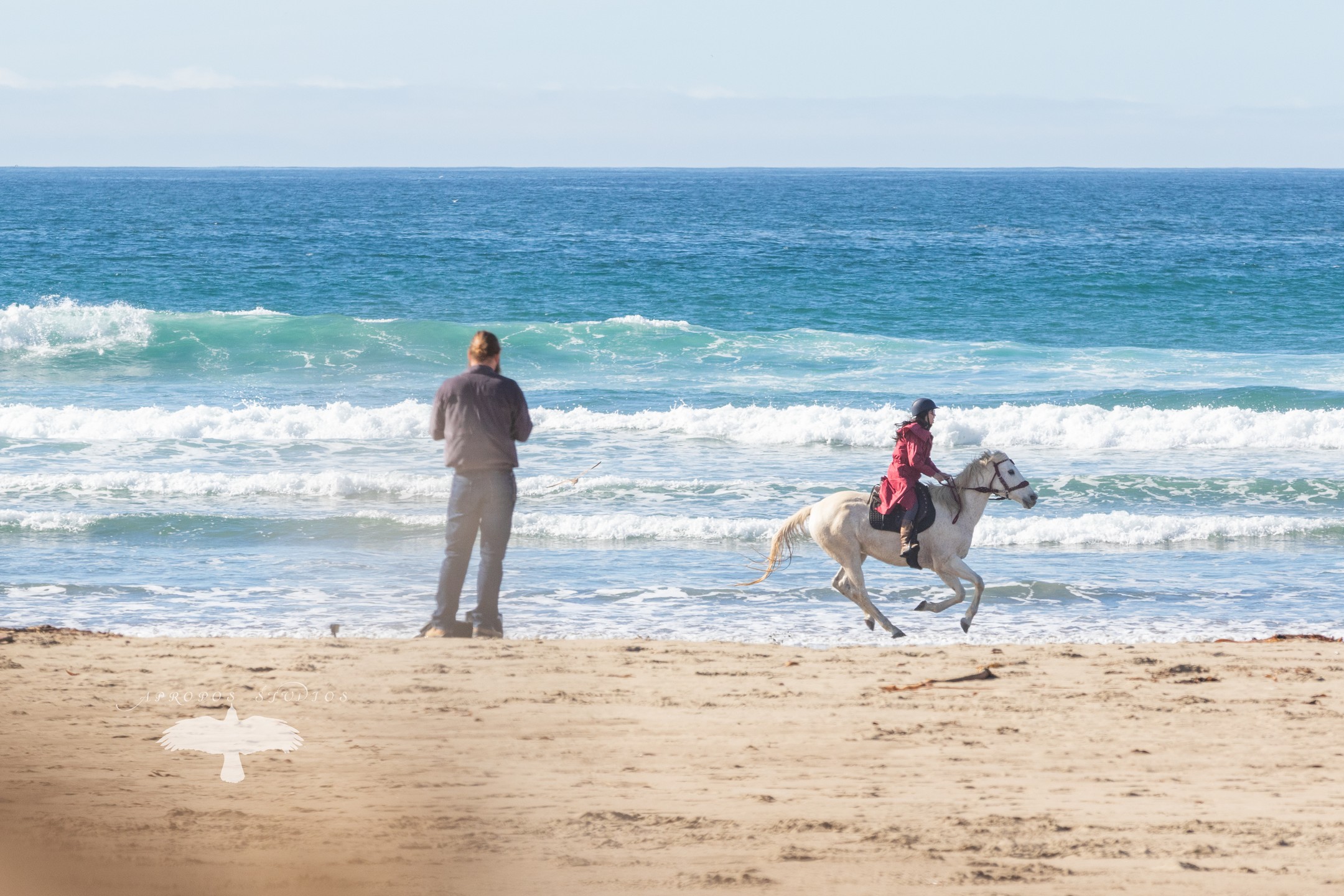 In between the gray and gloom of California weather, I had the privilege of capturing a proposal between these two amazing individuals and one very impressive horse named Tucker.
I'm so very honored to have been able to capture your special moment! Congratulations you two!
