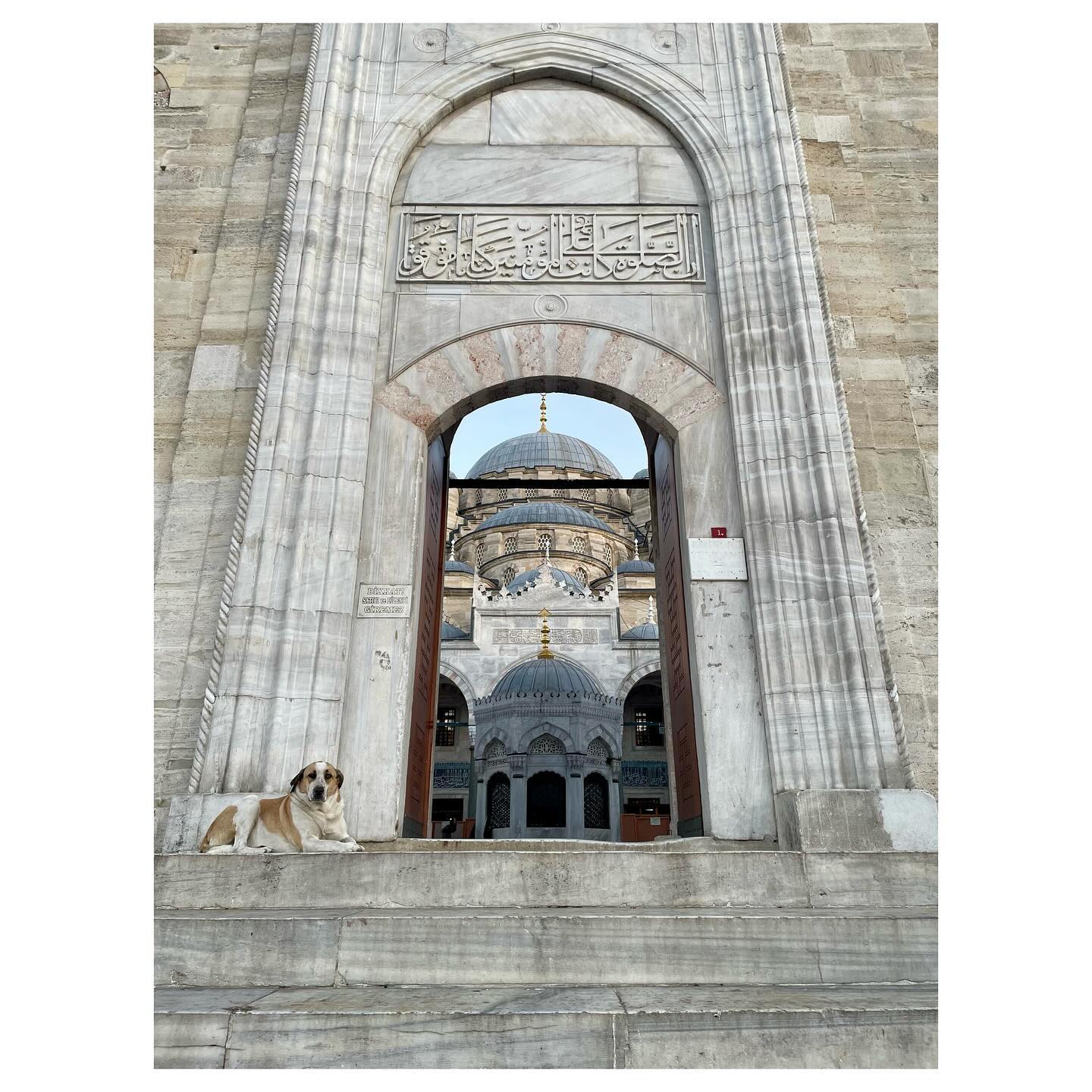 Hills, honey treats and the golden evening light of Istanbul.
#turkey #istanbul