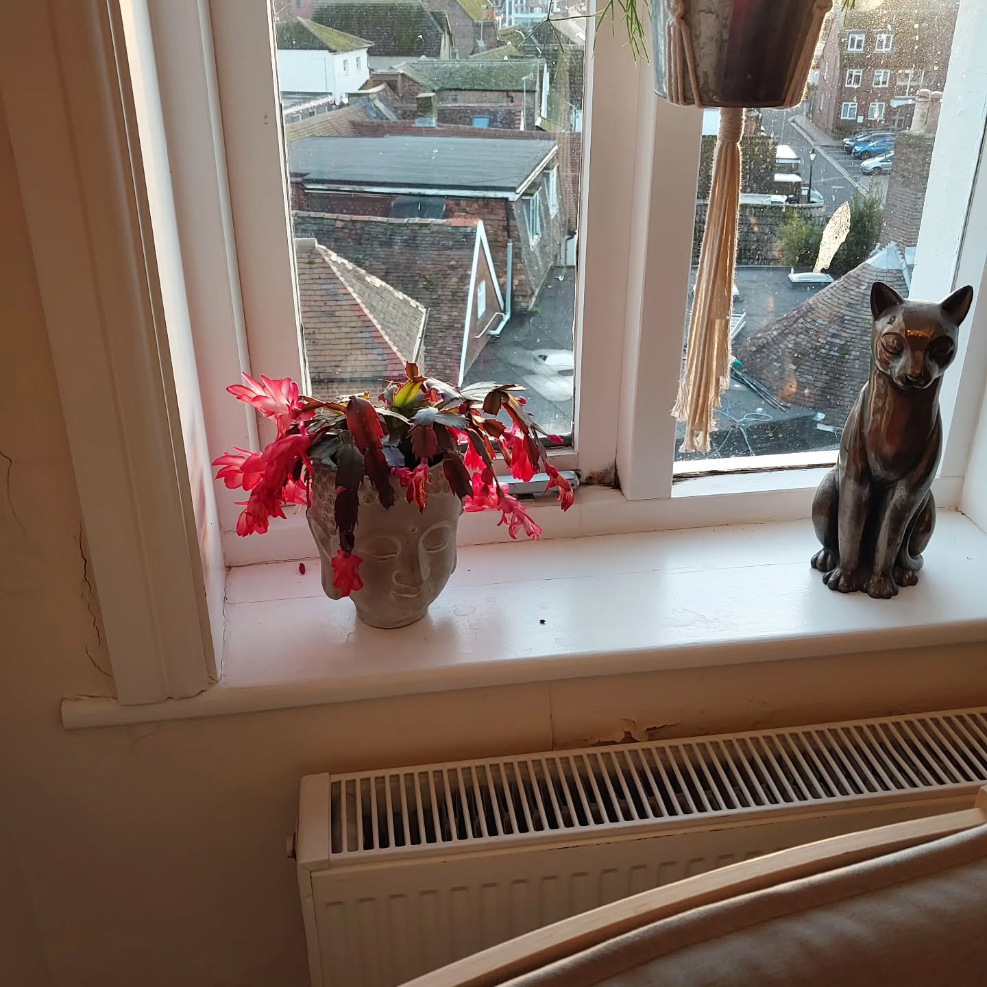 In between an appointment at the dorset practice. Sunshine after storm Bert