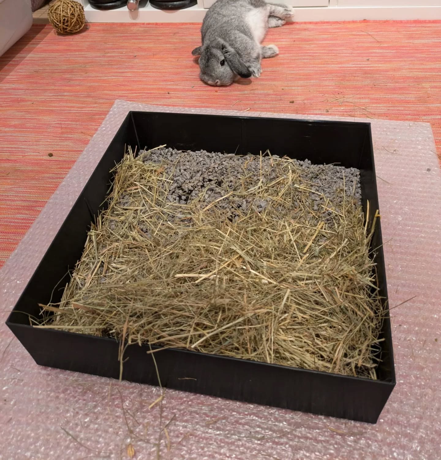 The bunny Hero seems to like its new 3D printed feeding box! 🐰🥕
#3dprintingfun #bunny