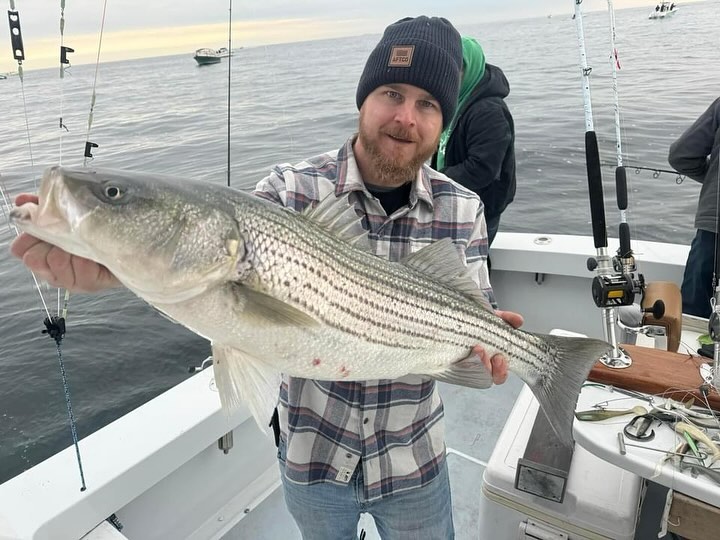 SideJobcharters had the Paul Lowrey crew out yesterday on the the little mule. Dam good fishing going on now. Made a rt n trolled n looked around . Got a call that it was going off, ran down a little more. We found them on the jig very good for about an hour . Then we trolled back up to the north n picked away at tag fish. Don’t wait n call now to get in on this bite. 561 578 2710 #sidejobcharters #stripers #striperfishing #manasquaninlet #littlemule #njfishing #bogansrods #reelseat #pennfishing
