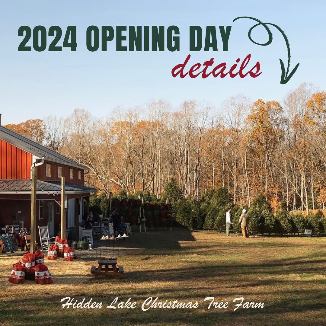 2024 Tree Season Details ⬇️
⏰ We open at 9 am on Friday, November 29th! We will be open every Friday, Saturday and Sunday until we sell out. We will be open from 9-5 each day.
🌲 We will have various sizes and types of trees! Our choose & cut trees are Norway Spruce and White Pine. Sizes will range from 7’ - 12’+. Our pre-cut tree varieties include Fraser Fir, Balsam Fir, and Canaan Fir. These will range in size from 6’ - 13’. All trees available for sale will have a white tag with the type, size, and price.
🎄 We will have a huge assortment of handmade garland and wreaths! New this year, we will be offering Fraser Fir garland, White Pine garland, & Fraser & Pine mix garland!
☕️ The Cocoa Cabin will be stocked with freshly brewed coffee, warm cider, different types of specialty hot chocolate, kettle corn, and of course our Hidden Lake mugs!
🍩 @madbyrdconfections will be at the farm on Friday and Saturday of opening weekend with delicious donuts!
🚫 What not to bring: You cannot bring your own chainsaw! We have saws on the farm for you to use if you cut down your tree! We will bail your tree in netting and provide the rope for tying the tree onto your car.
🐶 You can bring your pup! Your pup must remain on the leash at all times. Please pick up after your dog even if you are out in the field! People are going to be walking through the fields of trees so it’s likely someone will step in if you don’t pick it up!
🎉 We have NEW merch this year!!! We’ll be sharing our new merch design this weekend. We also will have more colors to choose from!
We can’t wait to see you all at the farm!