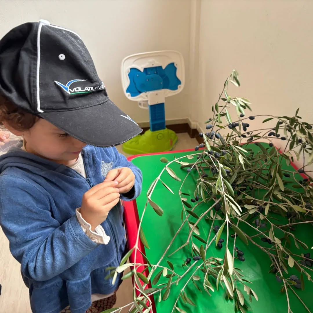 Fin dalla più tenera età addestrate all' arte della raccolta! 😍
Tradizione e cultura
#olioextraverginedioliva #calatafimisegesta #tesoriitaliani