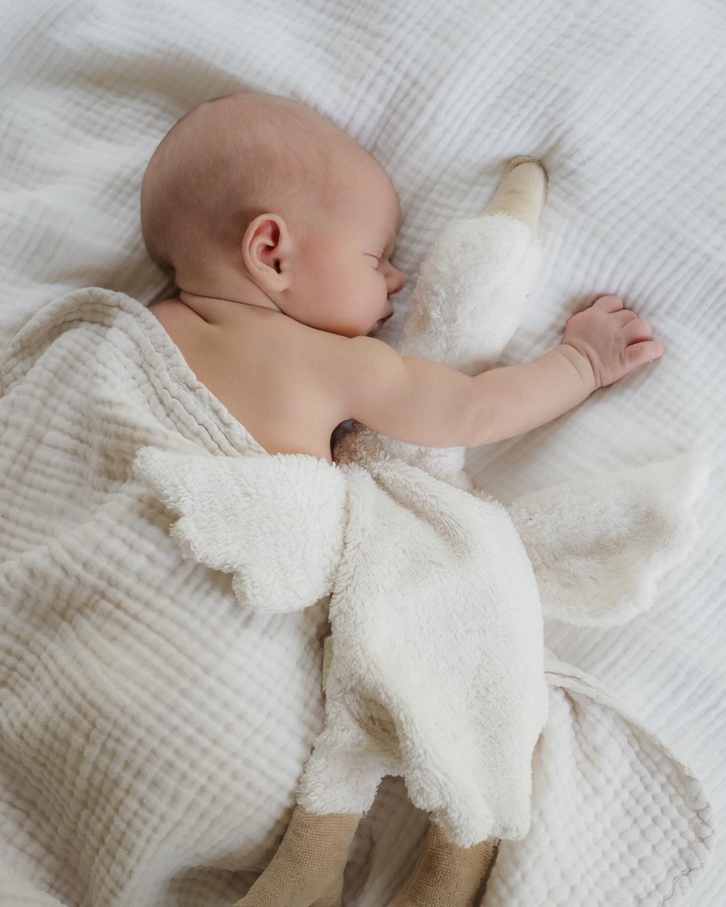 Die ersten Momente, für immer festgehalten.✨
Diese unvergesslichen Augenblicke der ersten Tage – die Geborgenheit, die kleinen Details, die so schnell vergehen. Bist du bereit, die wertvollsten Erinnerungen deines Kindes für immer festzuhalten? 💫
Lass uns gemeinsam Bilder schaffen, die eine ganze Lebensgeschichte erzählen. Schreib mir und wir planen euer persönliches Shooting! 📸
#babyfotografie #erinnerungenfürimmer #authentischefotografie #wertvollemomente #kindererinnerungen #neugeborenenshooting #zeitloseerinnerungen #liebezumdetail #kuschelzeit #babyshooting #babyglück #geborgenheit #kinderfotografin #emotionenfesthalten #fotografiemitherz #kinderportraits #natürlicheshooting #kinderfotografie #unvergesslichemomente #herzfotografie #lebensmomente #familienerinnerungen #babytraum #fotografieistkunst #kuscheltierzeit