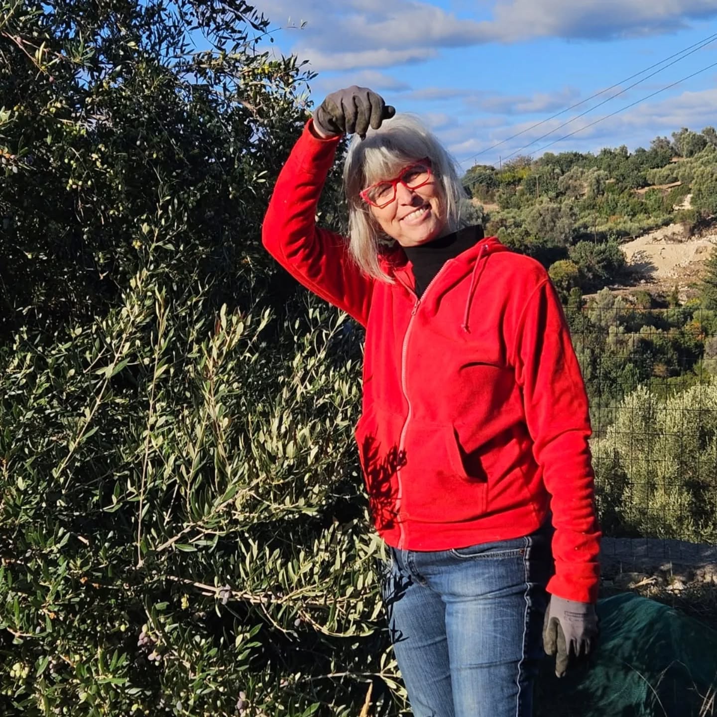מסיק זיתים - יום ראשון
Blue Daisy house - Olive harvester
Photographed by @avitalforart
