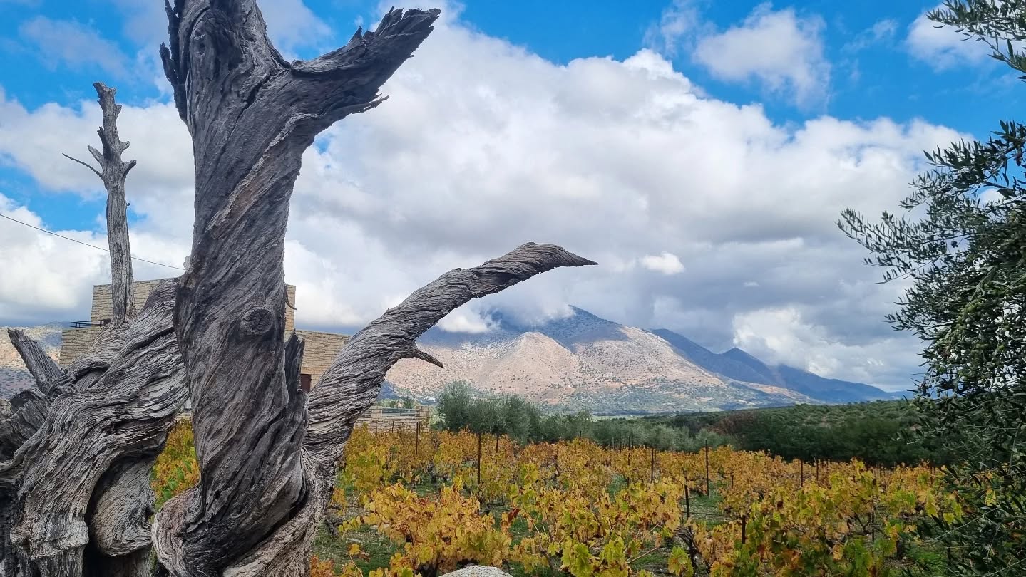 How beautiful are the clouds in Crete.
Can't stop photographing
