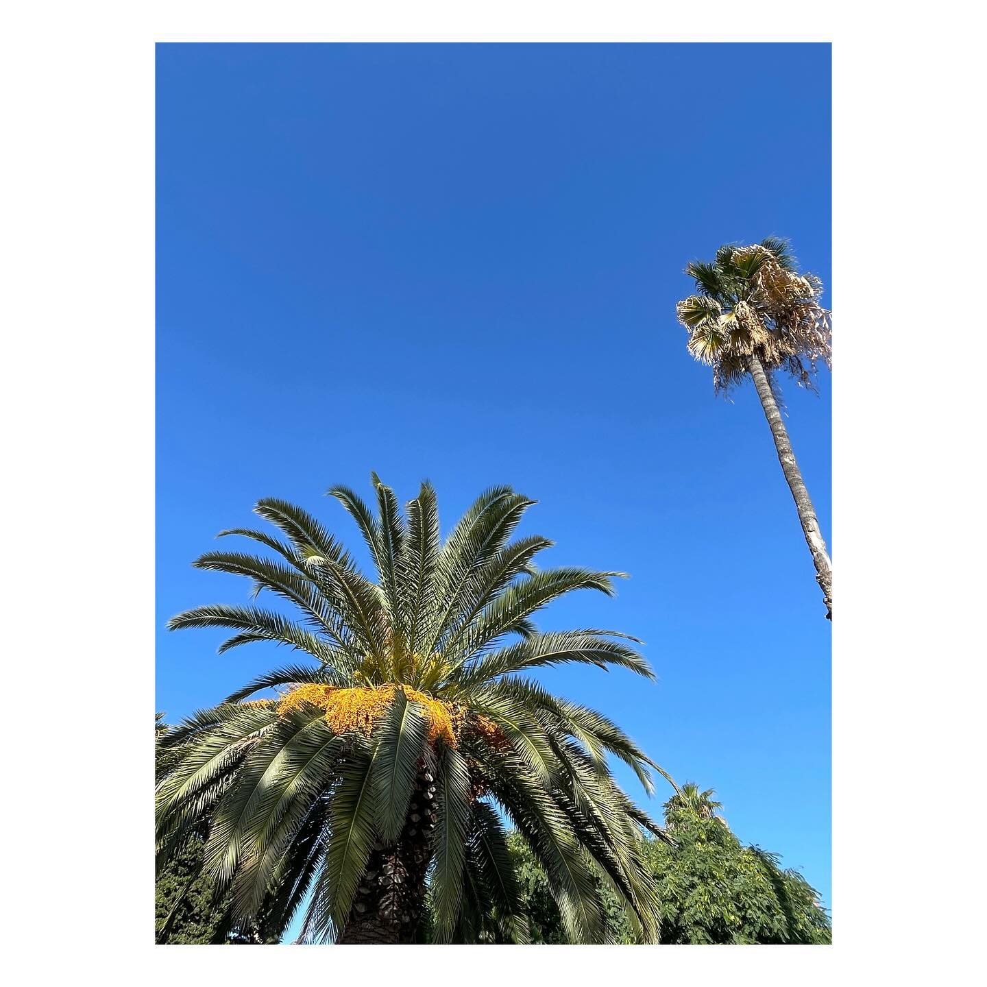 Sun soaked Barcelona last weekend. Warming bones and souls.
#travel #barcelona #spain