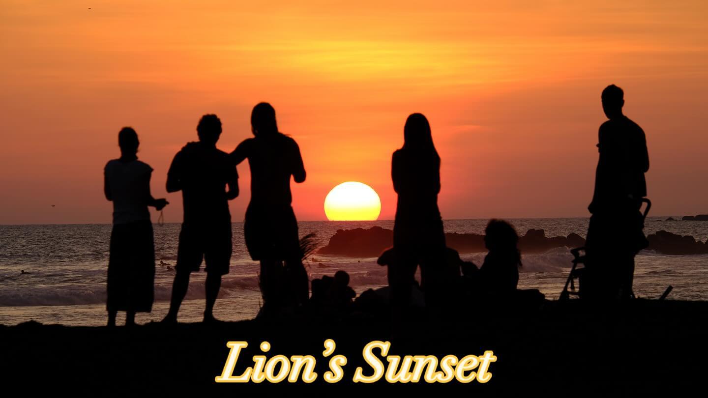 The sunset surf season is now upon us here in The South Of Sri Lanka 🇱🇰. Coconut’s beach with friends old and new, watching the sun go down on another perfect day in our little slice of paradise here at @lionsrest. 🦁🌴 NYE 🎉rooms available booking link in bio …