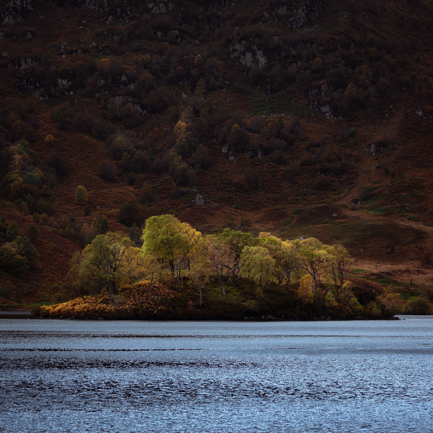 Lochs were carved by glaciers, but their beauty is sculpted by light and time.
#lochkatrine #scottishhighlands #scotlandtravel #scotlandshots #landscape_lovers #landscape_captures #naturephotography #mountainviews #scotlandexplore #ig_scotland #explorescotland #visitscotland #scenicviews #glowingtrees #nature_perfection #majesticview #scottishlochs #naturalbeauty #autumnlight #outdooradventure #landscape_inspiration #capturingnature #ig_landscapes #scottishscenery #backlighting #mountainlandscape #photographerslife #wildscotland #hiddenscotland