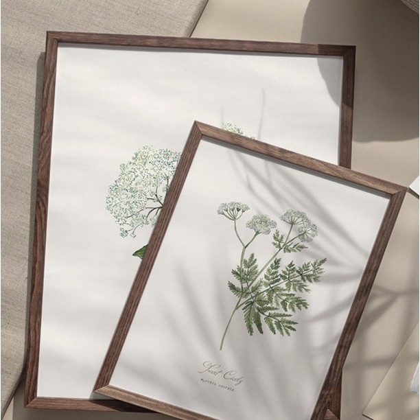 My Botanical print shop has an end of year sale, everything is 24% off.
That includes my Wild Flowers of Scotland and Herbarium posters, all botanical prints and print Sets . Postage is free within the UK and did you know I can also personalise prints for any occasion, just leave me a note with your order and I can replace the name of the plant with any date or name underneath.
Happy winter season, enjoy the sale and gift someone you love a special personalised present this year.