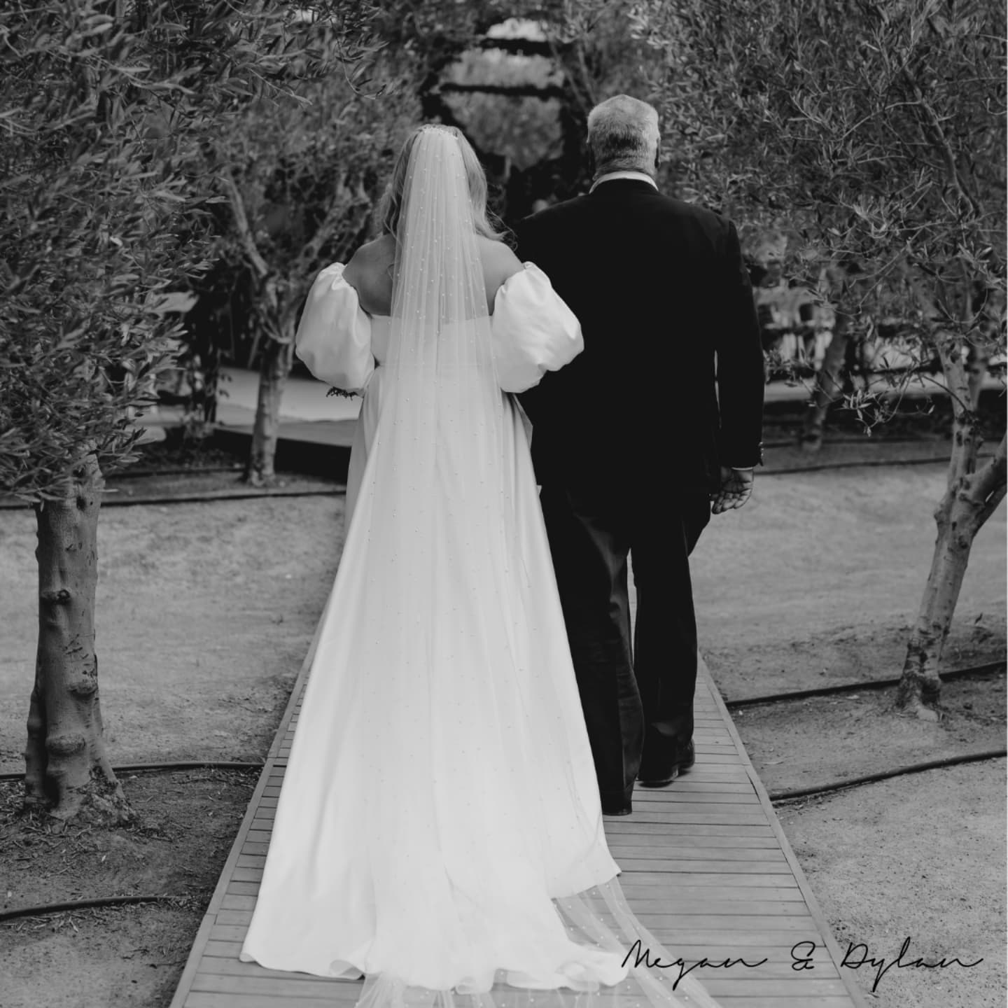 Megan & Dylan //
Ceremony moments that will forever remain a cherished memory 💍
Venue: @olijvenkraal Olive Grove
Photographer: @bolandweddings_pyperpringle
Coordination: @thegrandplanner
Floral design: @thegrandbotanist
Decor: @grandroomdesign
Staff: @pepa_events_staffing