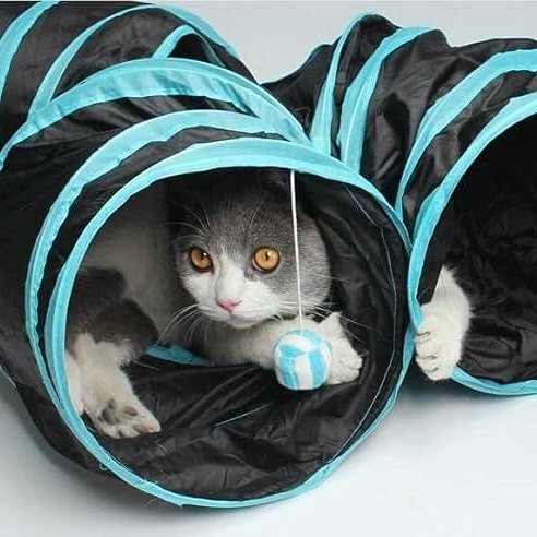 The Cat Tunnel 3 Ways Collapsible is an engaging and versatile toy designed to keep your lovely cat 🐈 entertained and active.
More details at pets-crew.com
.
.
.
#petscrew #pets_crew #petcrewpetsupplies #cat #pet #toy #tunnel #collapsible #love #blackfriday #christmas #gift #cybermonday #foldable #health #happy #petlovers #catlover #petsupplies #active #entertainment #kitten #rabbit #indoor #winter #activities #play #playtime #cattunnel #cute