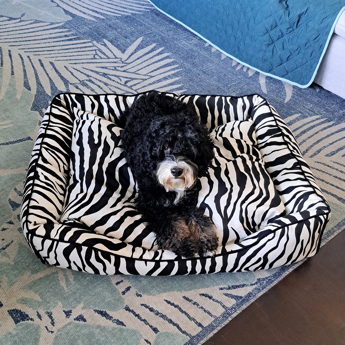 Sometimes the best Therapist has fur and four legs.