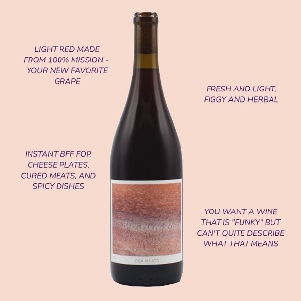 New to the web shop - 2023 Mission! Also known as Pais, this vineyard is a descendant of the first grapes planted around CA's missions, hence the name.
Somer's Vineyard in Lodi is one of the wildest we've sourced from (swipe to see the grape jungle!).
Light but also complex and full of depth, this bottling is a pretty unique side of CA winemaking. Grab a few in the web shop, link in bio. 🍇