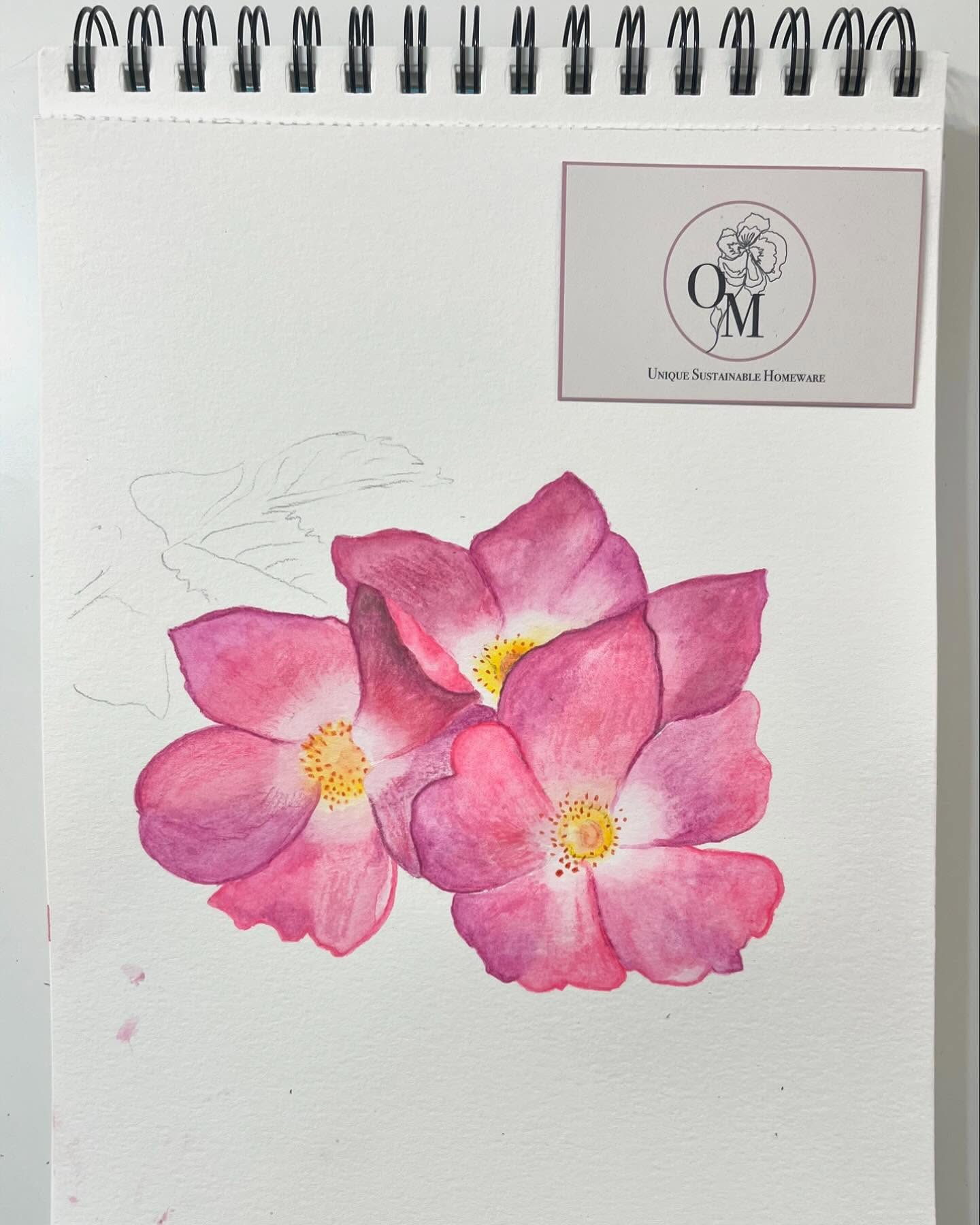 Floral Drawing. Dog Rose flower using water colour for my Spring/Summer 25 collection. #handdrawn #handpainted #textiles #flowers #flowerart #smallbusiness #naturedrawing #textileart