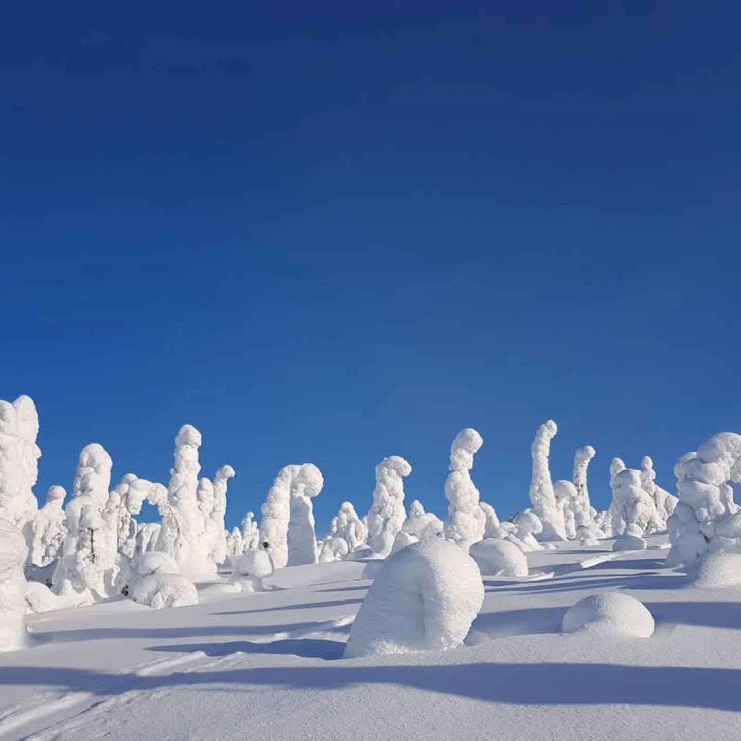 Happy Independence Day, Finland. And thank you, grandpa 💫! #independenceday