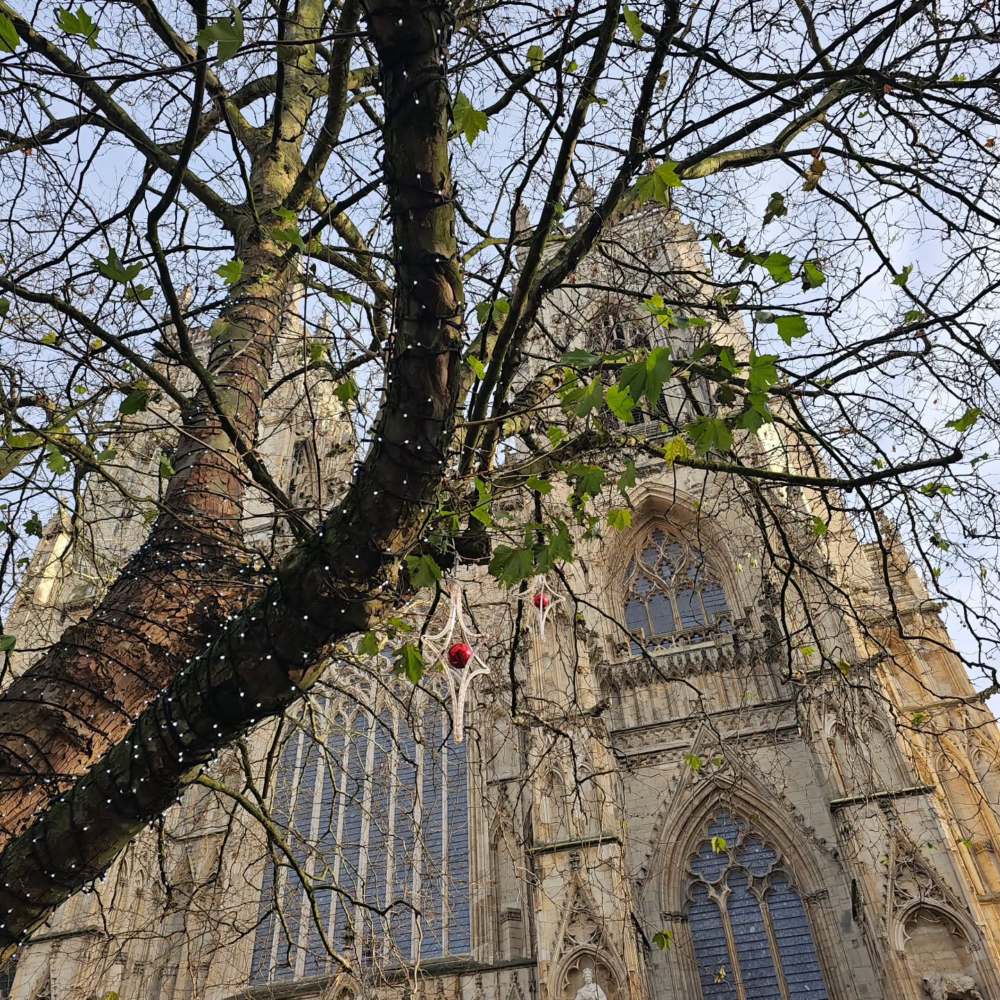 A bit late with posting - York dressed up for Christmas szn🎄🎅✨️
#York #yorkchristmasmarket #christmasmarket #christmaslights #magical #festive #festivities #theshambles #theshamblesyork
