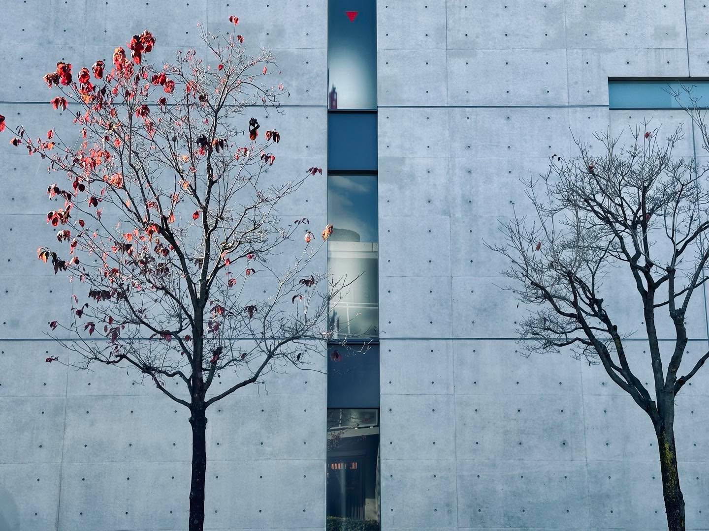 Ando Tadao Tokyo art museum