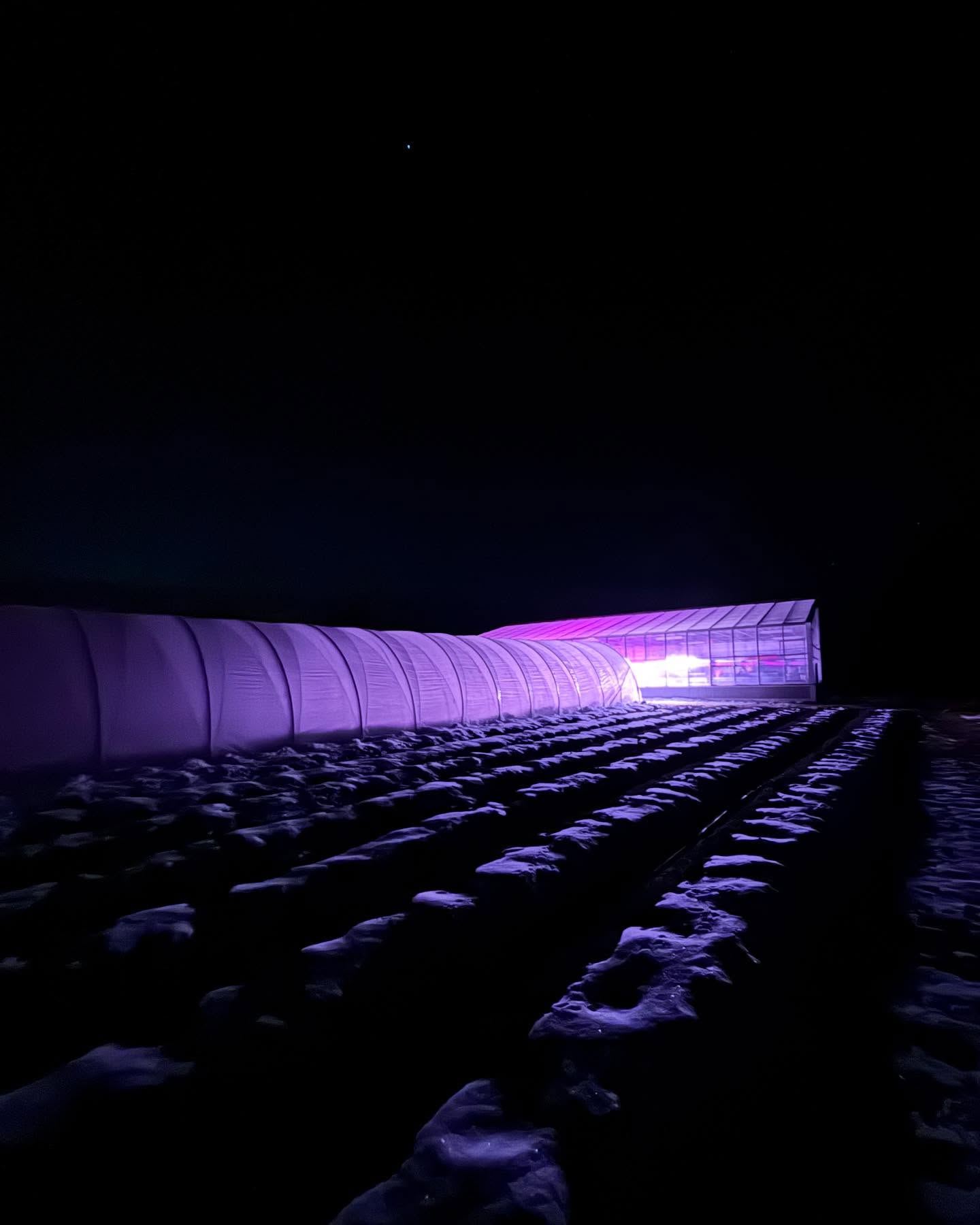 Farm Stand is Back!
Starting this weekend, Winter Farm Stand will be open every Saturday from 10am-2pm through January.
This week we will have-
Carrots
Radicchio
Kohl Rabi
Microgreens
Fresh Eggs
Garlic
3 Springs frozen chickens
Fresh Sourdough Bread
Heber Valley Cheese
Local goods including jams, sauces, preserves, granola, coffee, face and body oils and scrubs, hats, sweatshirts, eco-printed scarfs from our flower garden- and more!
Come check out what we are growing for you this winter☃️