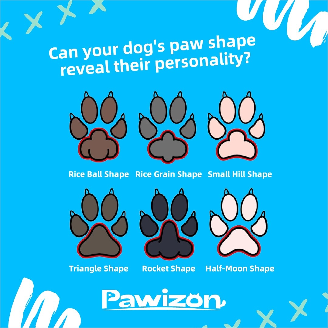 Paw-sonality Check: What Do Your Dog’s Paws Say? 🐾
Your dog’s paws might reveal their personality! Playful or calm—what’s your pup’s paw story? 🐶✨ Share below!
#dogchallenge #dogparents #dogsofinstagram #dogoftheday #puppygram #puppylife #doglover #puppymom #dogmom #puppyoftheday #doglife