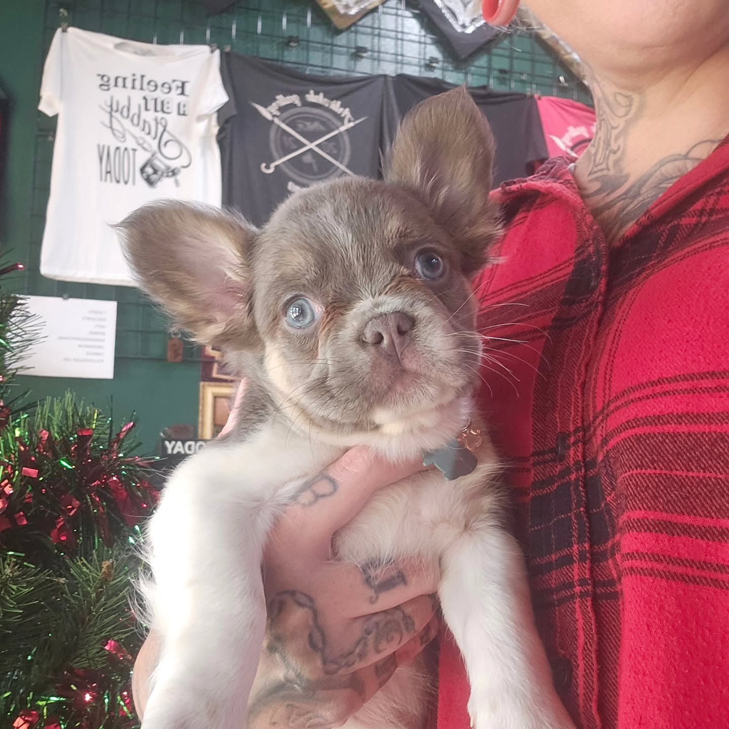 @jay13espinoza Got a new puppy!!! We love her!