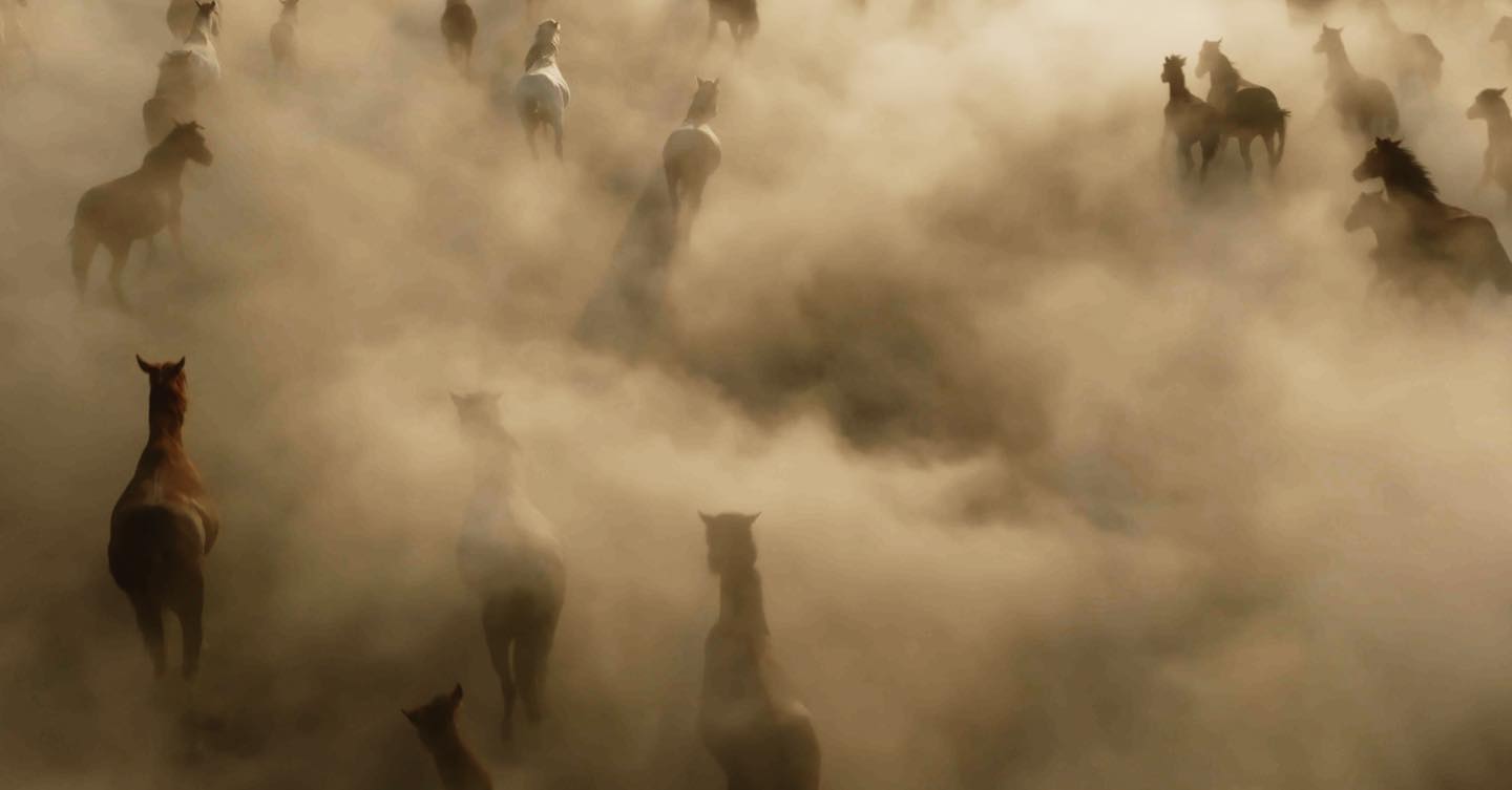 Shot in Türkiye 
Client: @nuii_icecream_global
Creative: @toaststudios
Production: @toaststudios @around_communication
Director: @antoinejans
Photographer: @flofatton
Executive Producer: @sandgilles
Line producer & Locations manager: @mertgurel_
Assistant producer: @okanulkusal
Drone & FPV: @volkan_fil
Music & sfx: @michaelbogamusic 
Talent: @carmenbruendler
Hair & Make-up: @onurbayramofficial @virginiemakeup_
Studio DOP: @the_artaban_filmance
Studio 1st AC: @joaoprates__