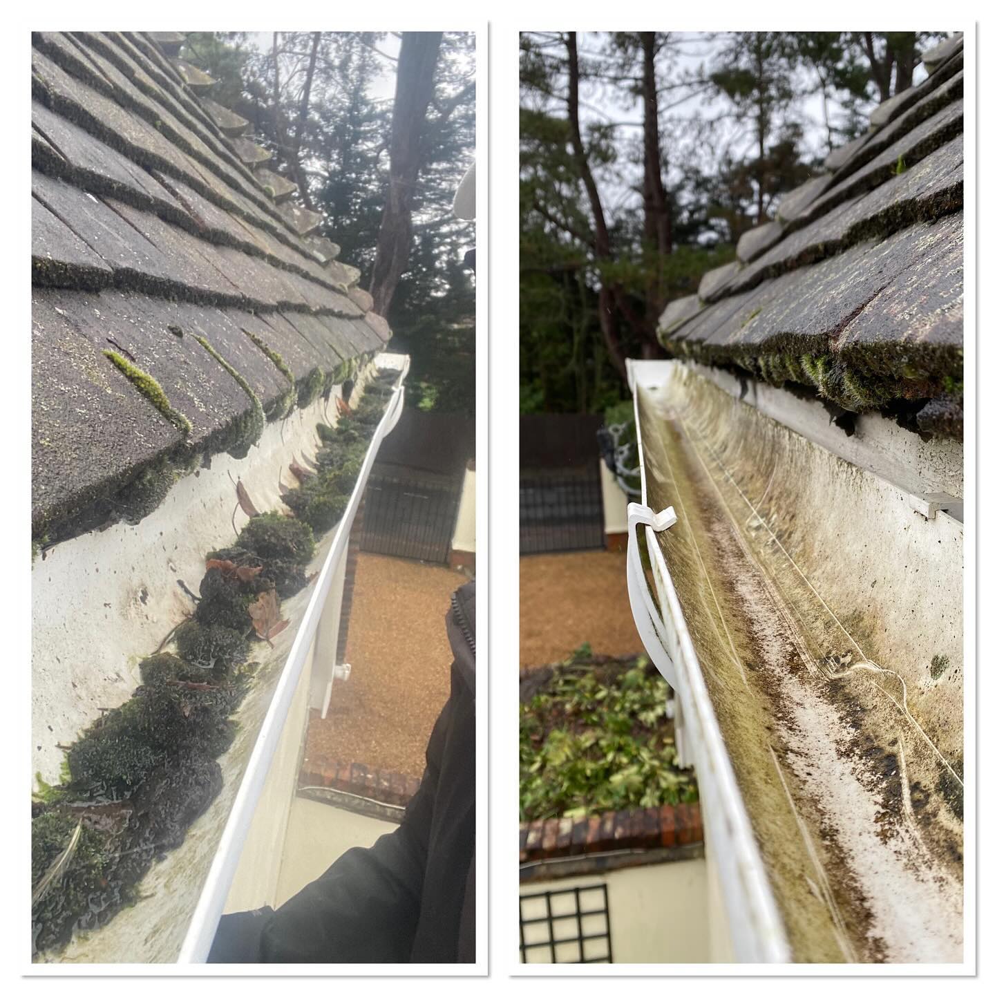 Blocked gutters? Plants growing out of them? New trees appearing? 😱 #exteriorcleaning #exteriorcleaningservices #gutters #oddlysatisfying satisfying #plants #guttercleaning #roof #roofcleaning