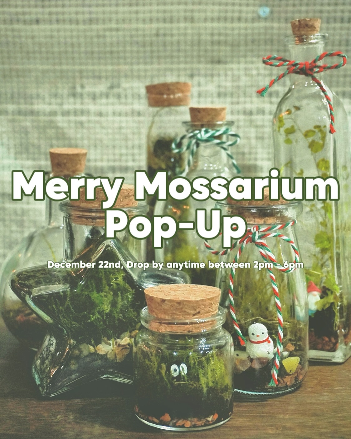 ✨ Mossarium Pop-Up Event! ✨
Looking for a creative way to spend your afternoon? 🌱 Drop by our studio on December 22nd, from 2-6 PM, and make your own beautiful mossarium!
🎟️ Optional $10 Ticket:
• Buy your ticket online to get 10% off your final purchase!
• The $10 will also be applied toward your mossarium.
• Didn’t buy a ticket? No problem! You can still join us—just pay regular prices on-site.
🌿 What’s included:
• Choose from small, medium, or large jars ($25-$45).
• Decorate with hand-grown moss (cultivated over 3 months!), stones, figurines, and more.
⏳ Seats are limited, and it’s first come, first served—so plan your visit early!
📍 Oasis Terrarium Studio
We can’t wait to see what you create!
#popupevent #christmasevent #weekendvibes
