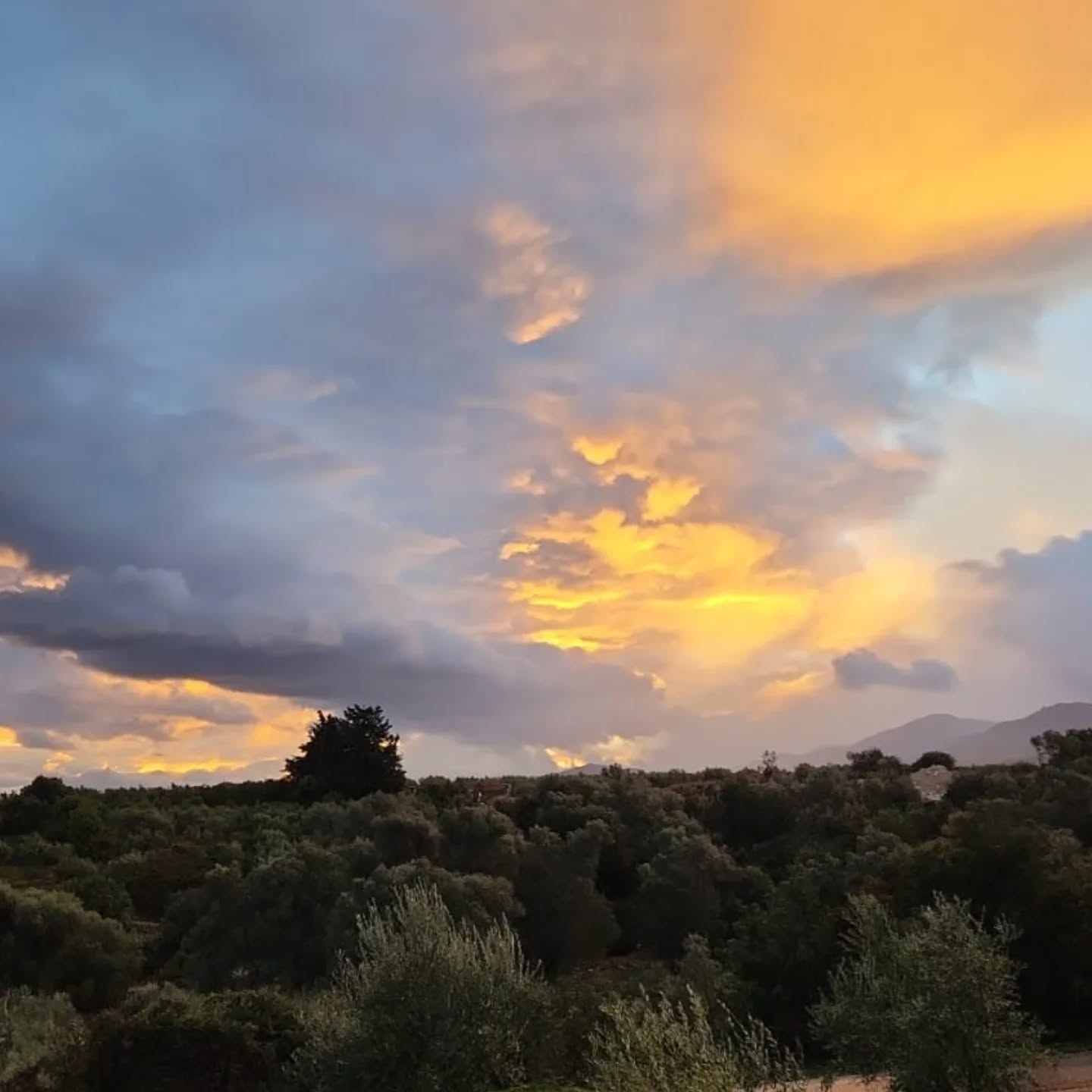 הזריחות המופלאות ב Blue Daisy House