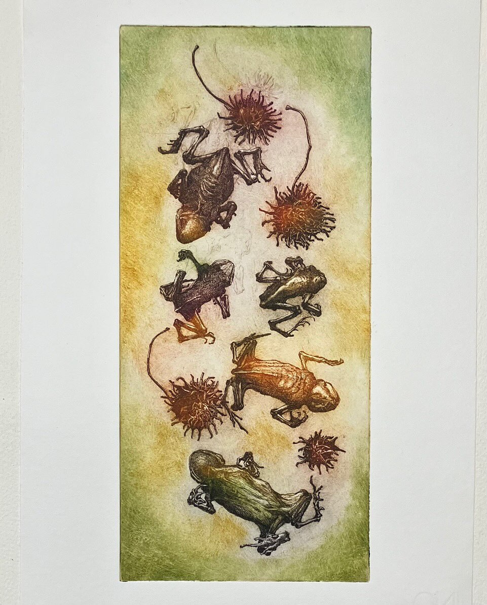 ‘Breng ons niet in beproeving’, kleurenets voor het essay van Willem Jan Otten deze week in het Katholiek Nieuwsblad. Pagina weer prachtig vormgegeven door Mariëlla Conen. hppts://digitaal.kn.nl #katholieknieuwsblad #skandalonuitgeverij #insectprint #sealife #printmaking #etching #figuredrawing #classicdrawing #blackandwhitedrawing #engraving #largeetching #penandink #seascapedrawings #fromlifeonly